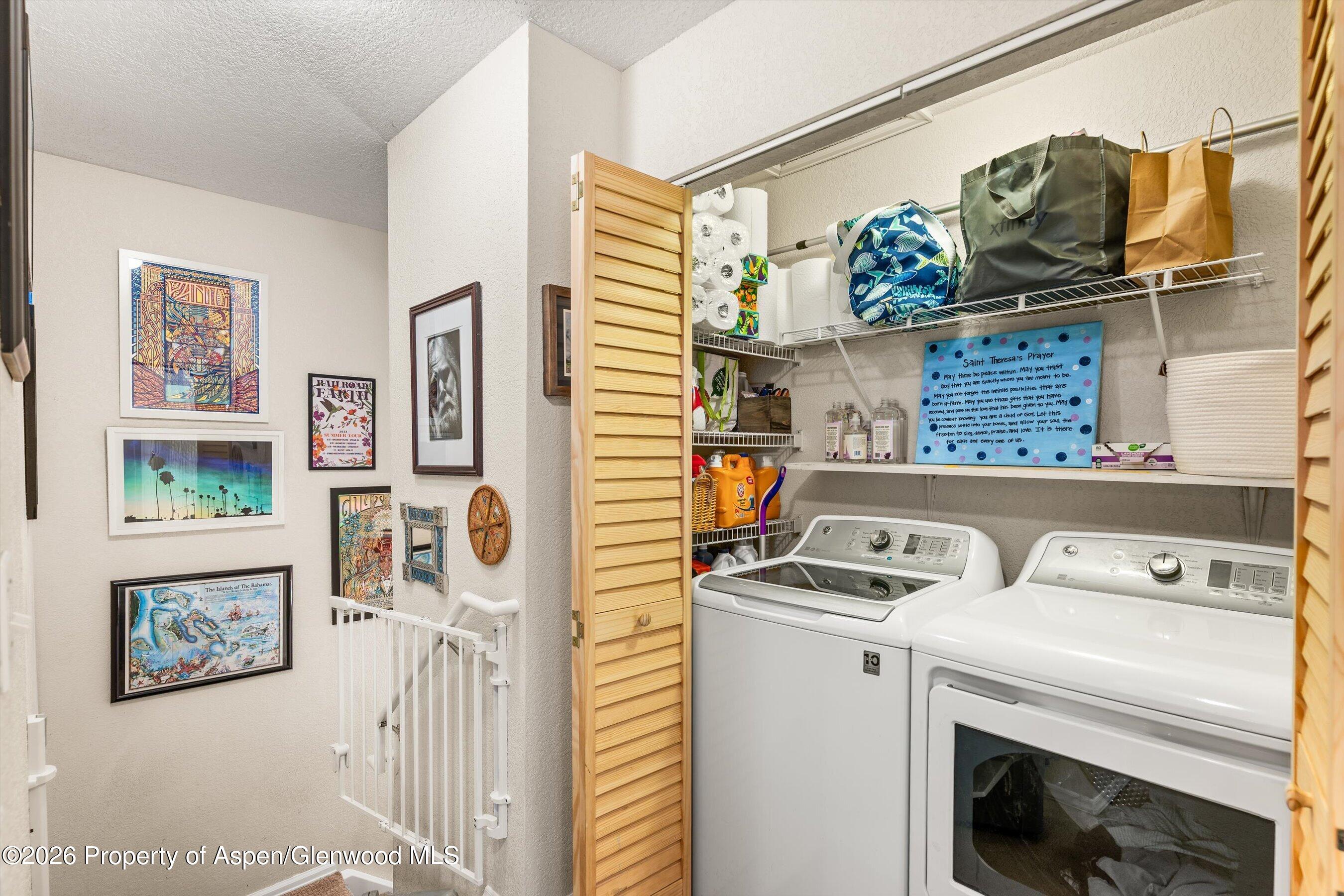 5203 Elk Lane Basalt CO 81621