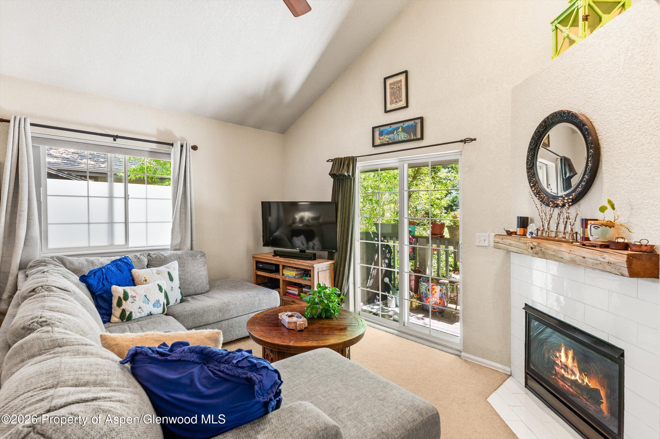 5203 Elk Lane Basalt CO 81621