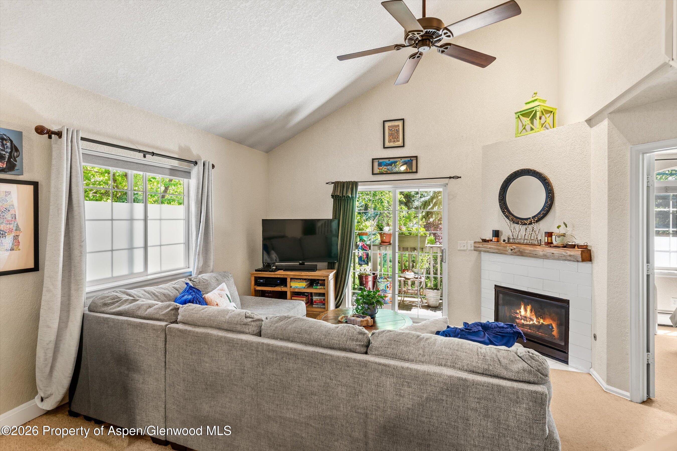 5203 Elk Lane Basalt CO 81621