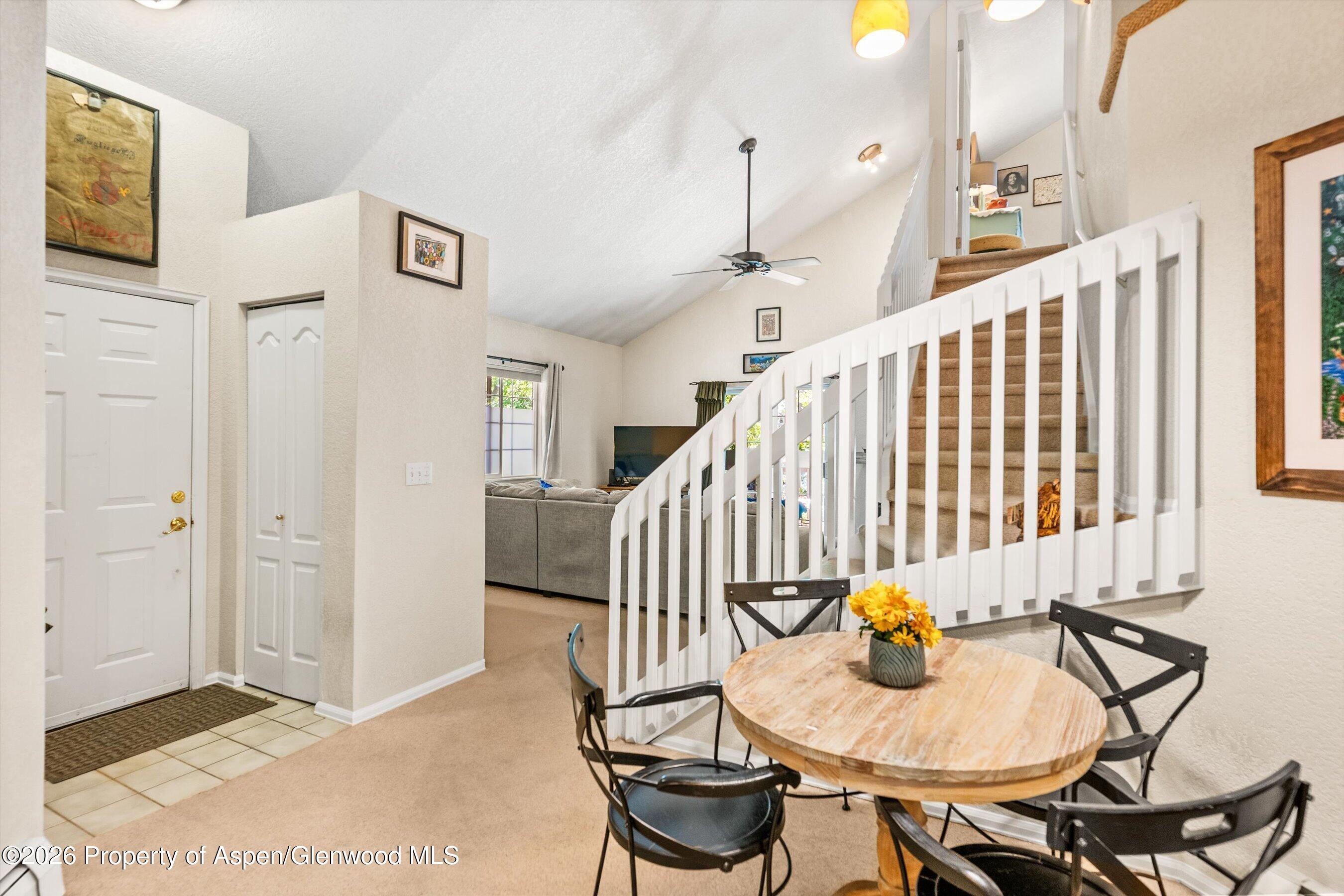 5203 Elk Lane Basalt CO 81621