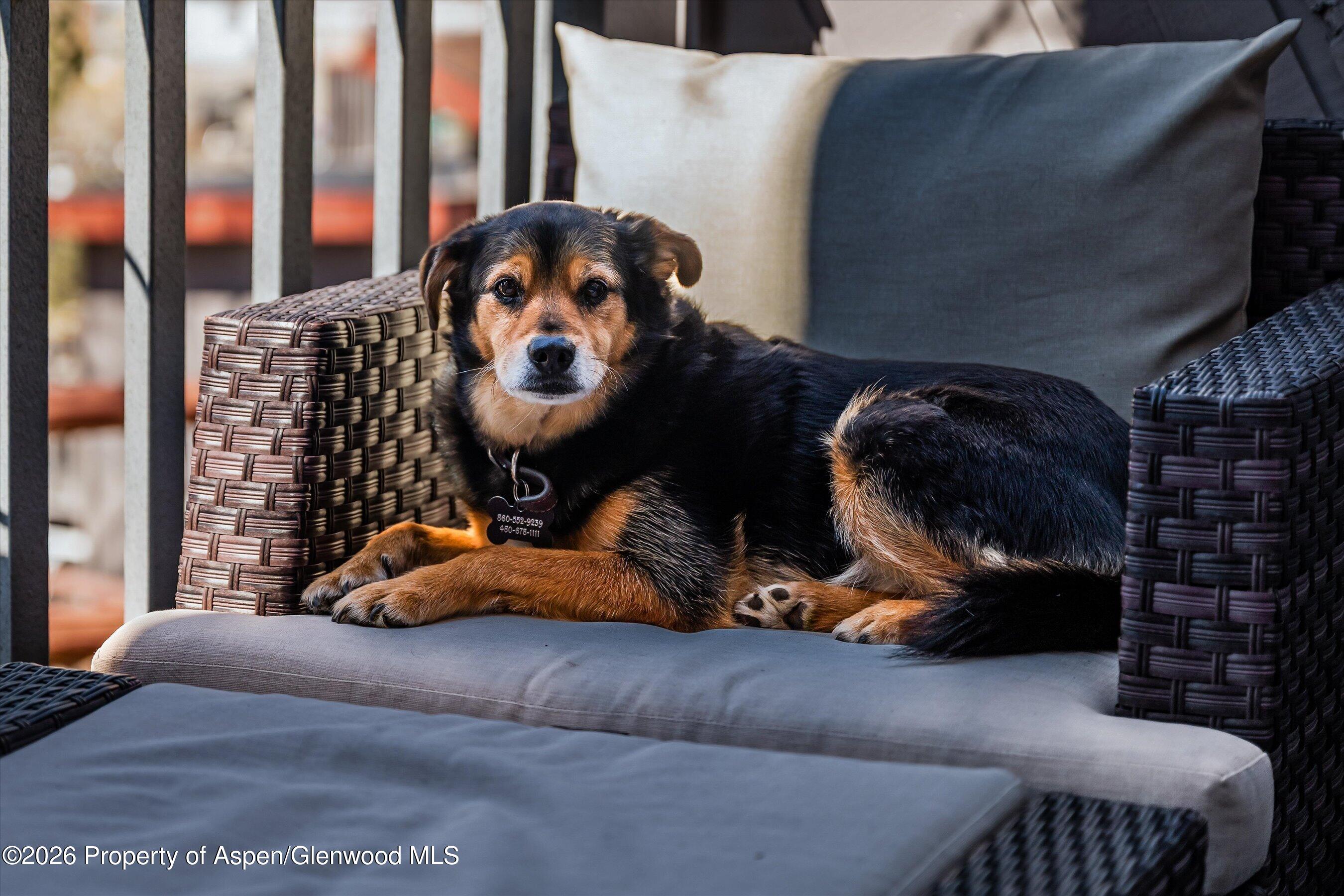 1512 Bennett Avenue Glenwood Springs CO 81601