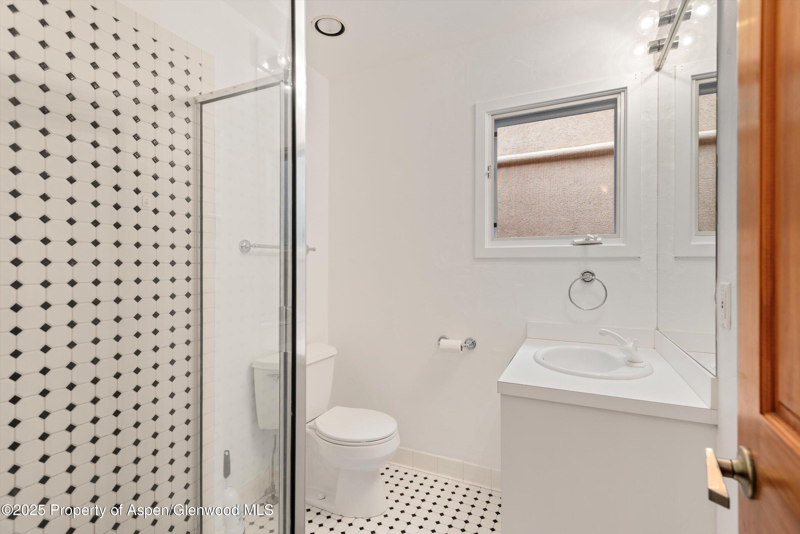 814 W Bleeker Street Aspen CO 81611