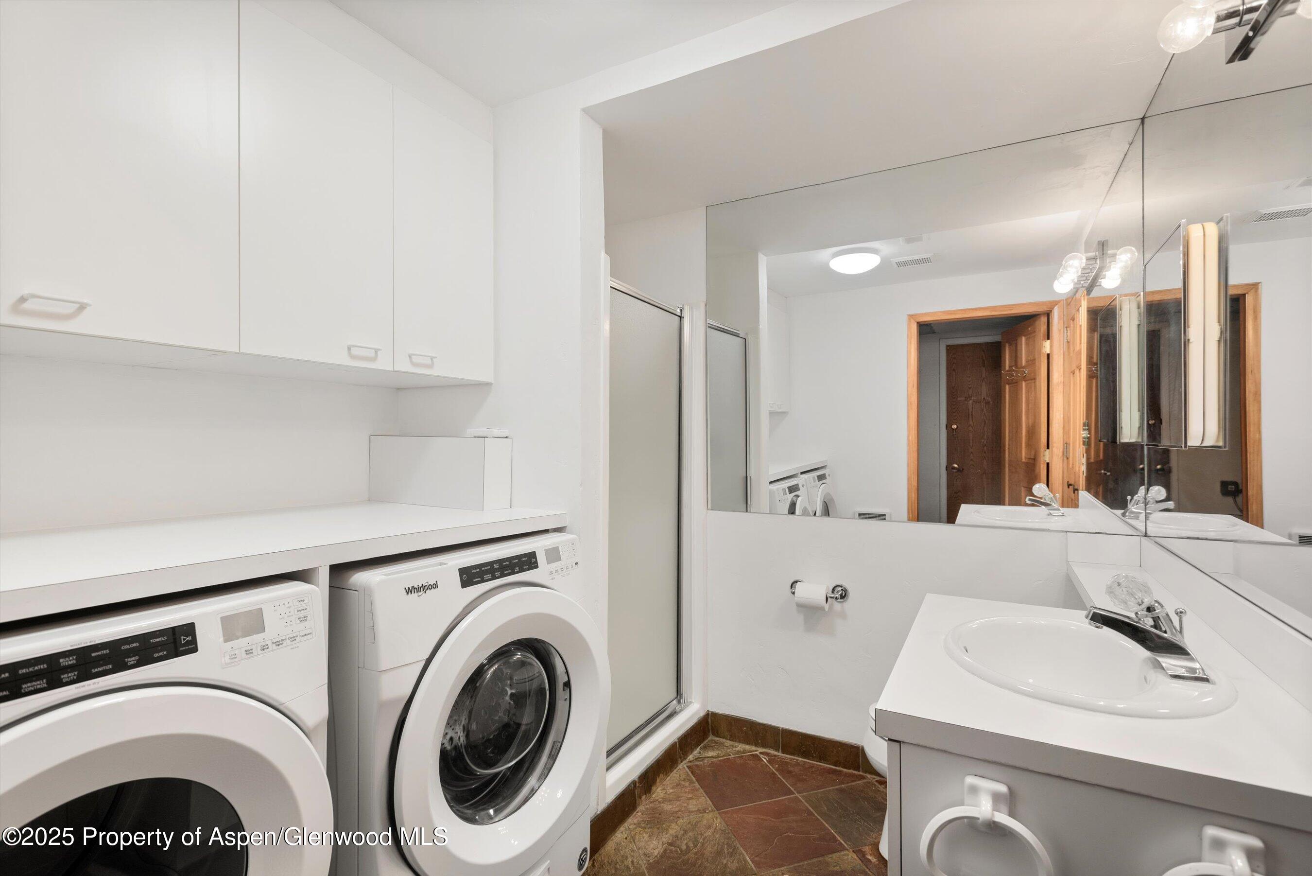 814 W Bleeker Street Aspen CO 81611