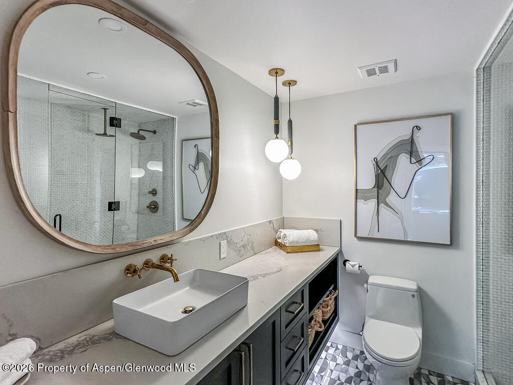 803 E Durant Avenue Aspen CO 81611