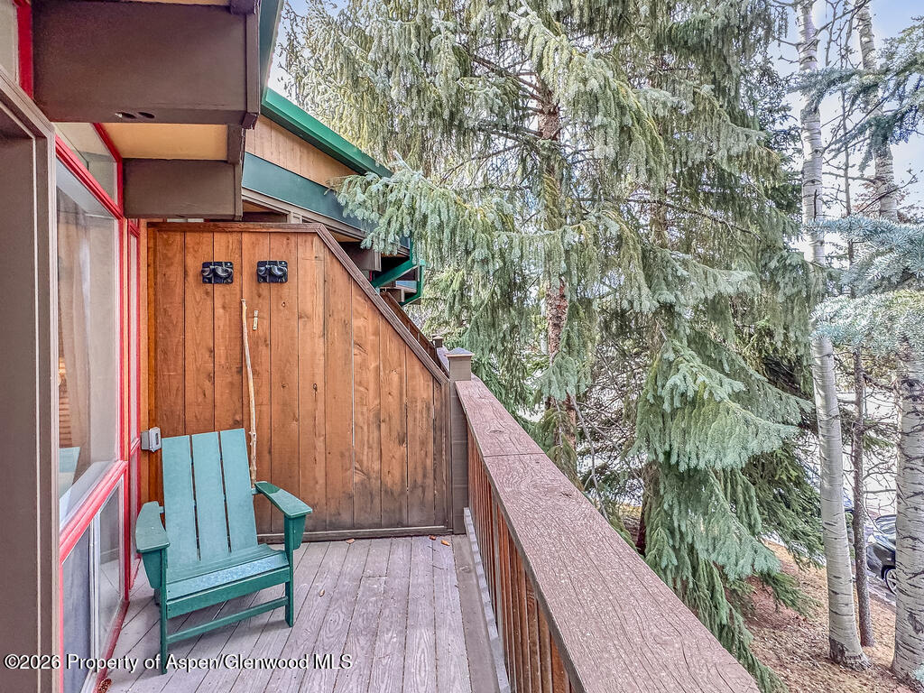 803 E Durant Avenue Aspen CO 81611