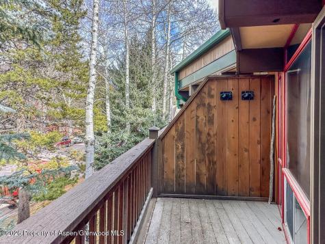 803 E Durant Avenue Aspen CO 81611