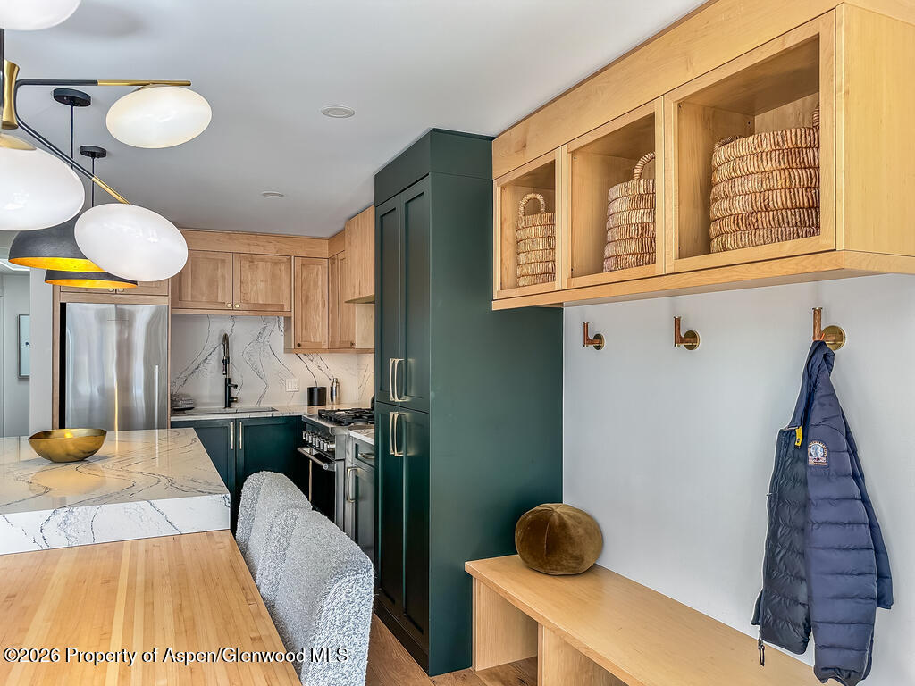 803 E Durant Avenue Aspen CO 81611