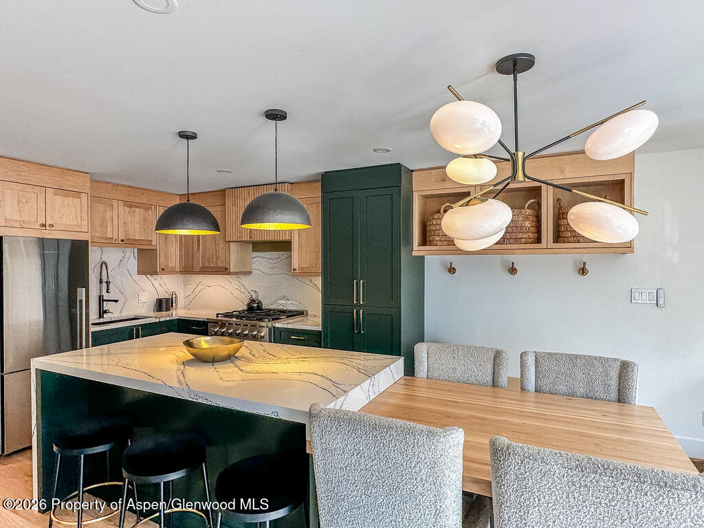 803 E Durant Avenue Aspen CO 81611