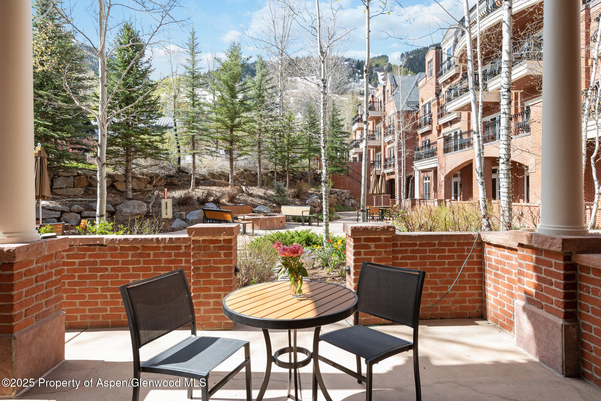 415 E Dean St., Unit 4, Week 32 Aspen CO 81611