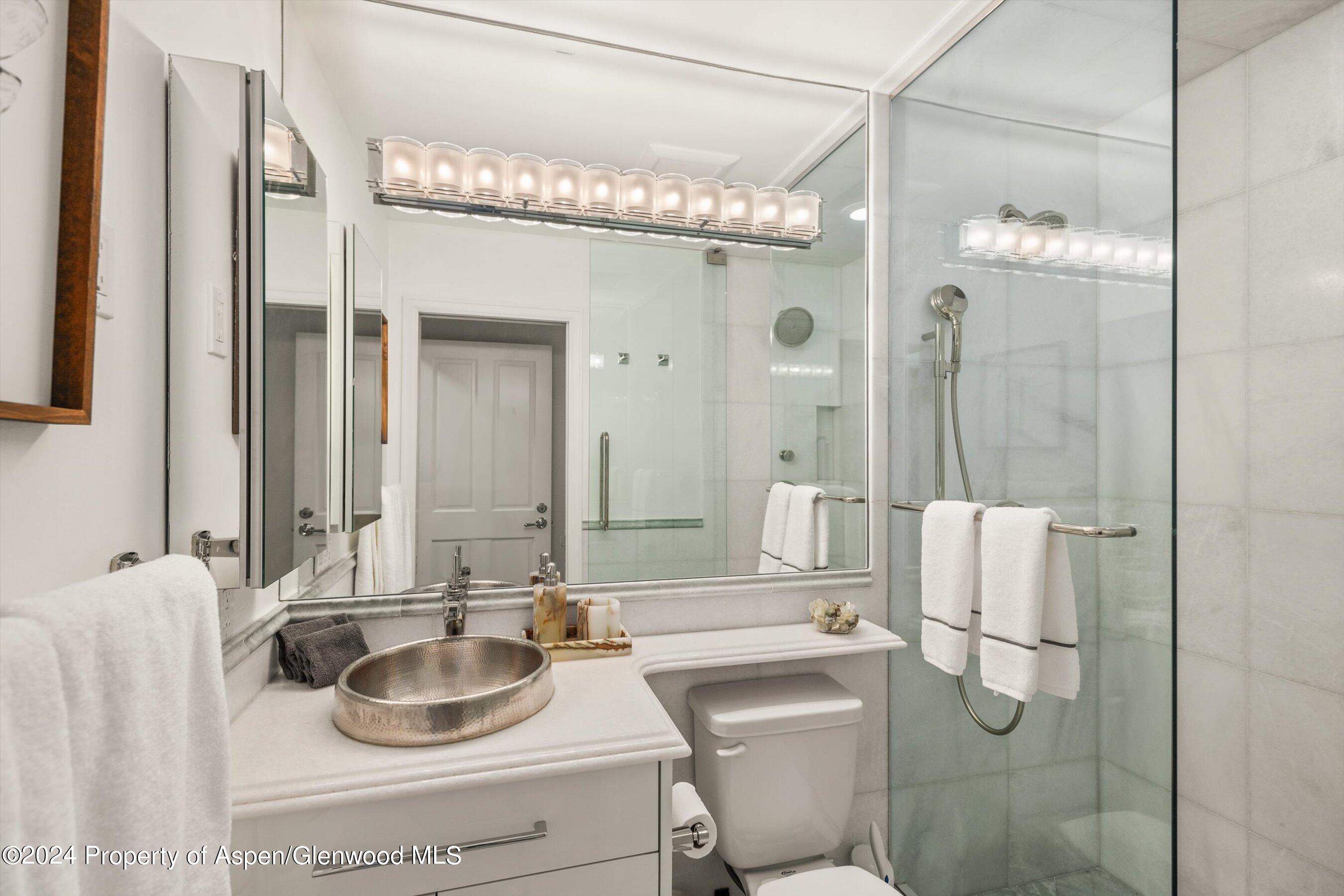 205 E Durant Avenue Aspen CO 81611