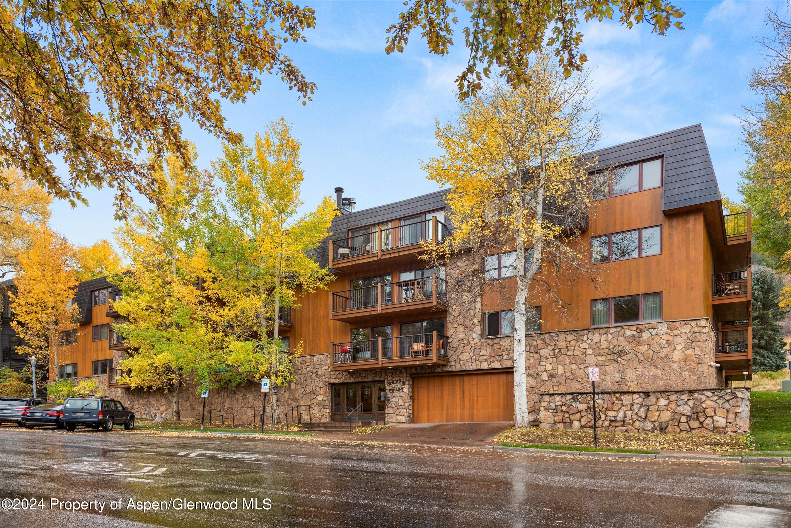 205 E Durant Avenue Aspen CO 81611