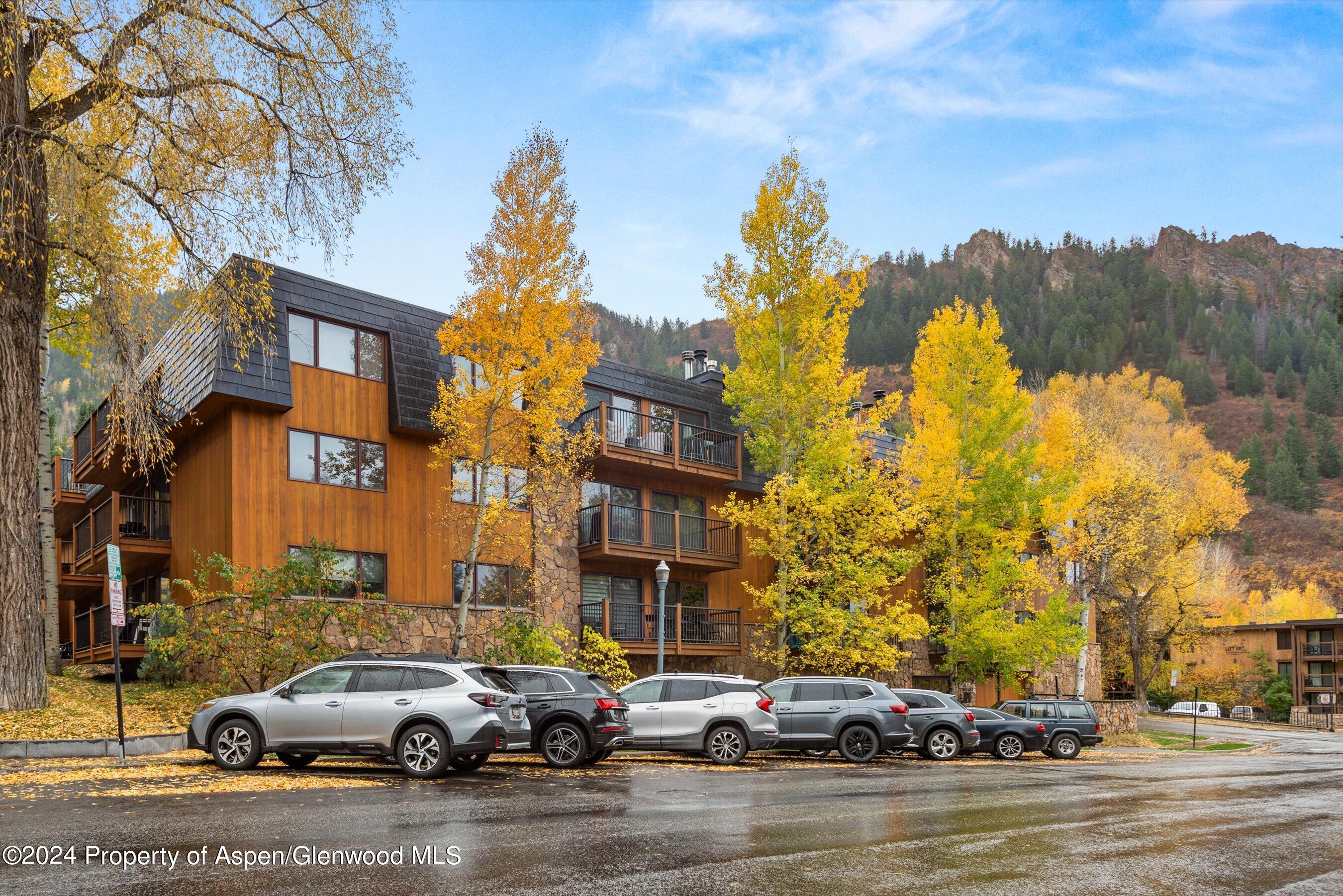 205 E Durant Avenue Aspen CO 81611