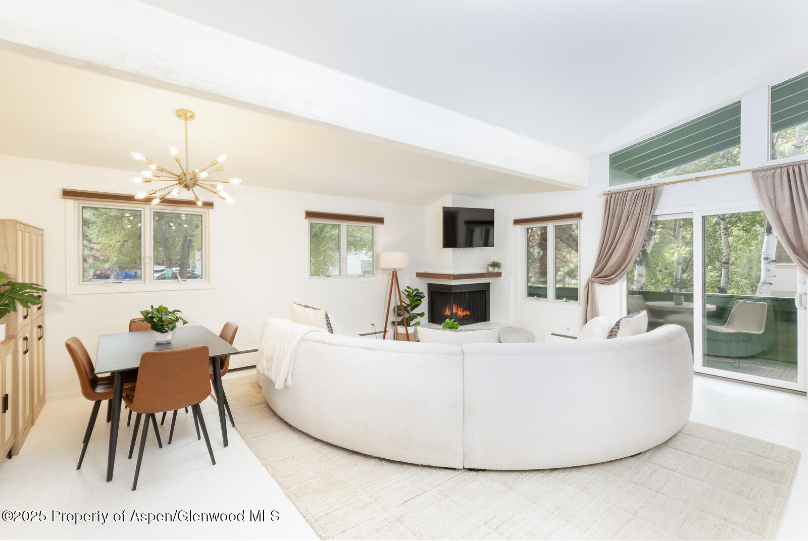 Aspen CO, 415 Park Circle, Unit 5