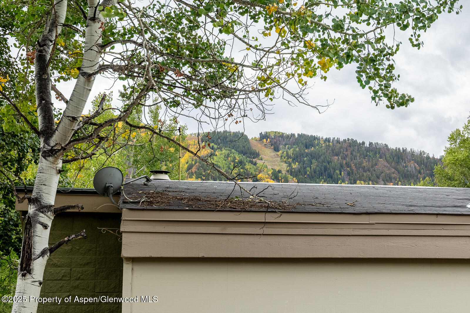 415 Park Circle Aspen CO 81611