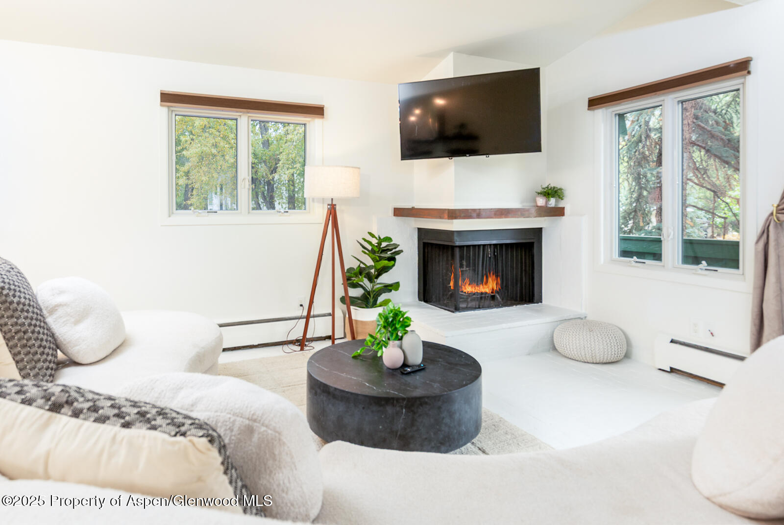 415 Park Circle Aspen CO 81611