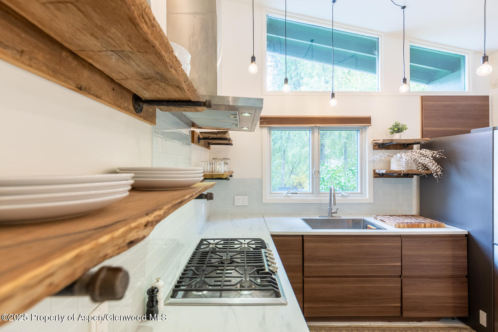 415 Park Circle Aspen CO 81611