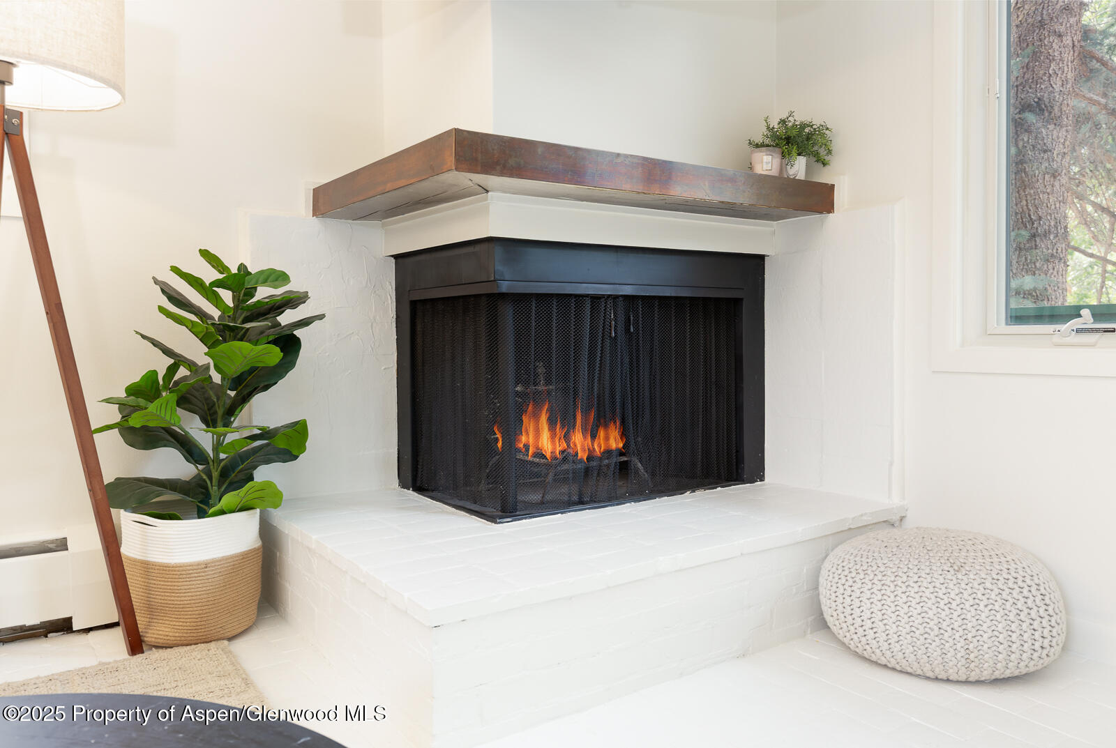 415 Park Circle Aspen CO 81611