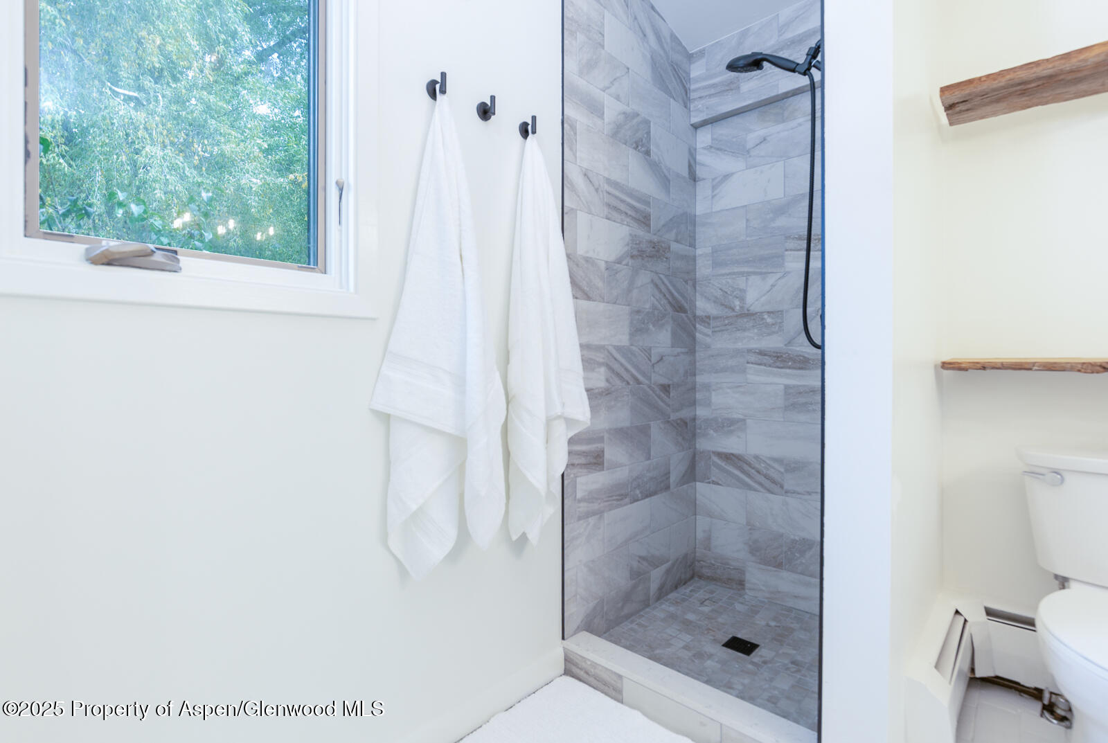 415 Park Circle Aspen CO 81611