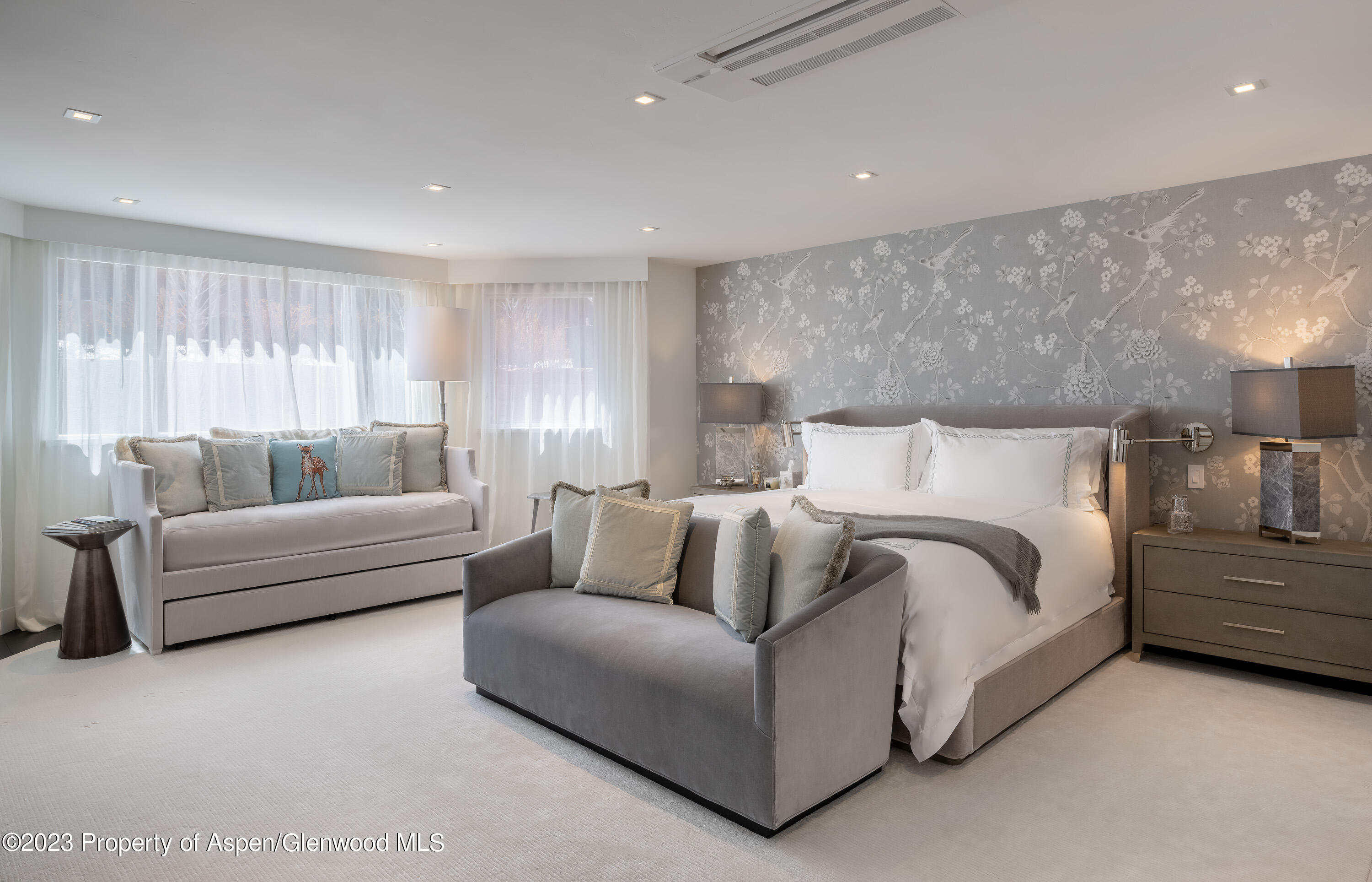 132 N Spring Street Aspen CO 81611