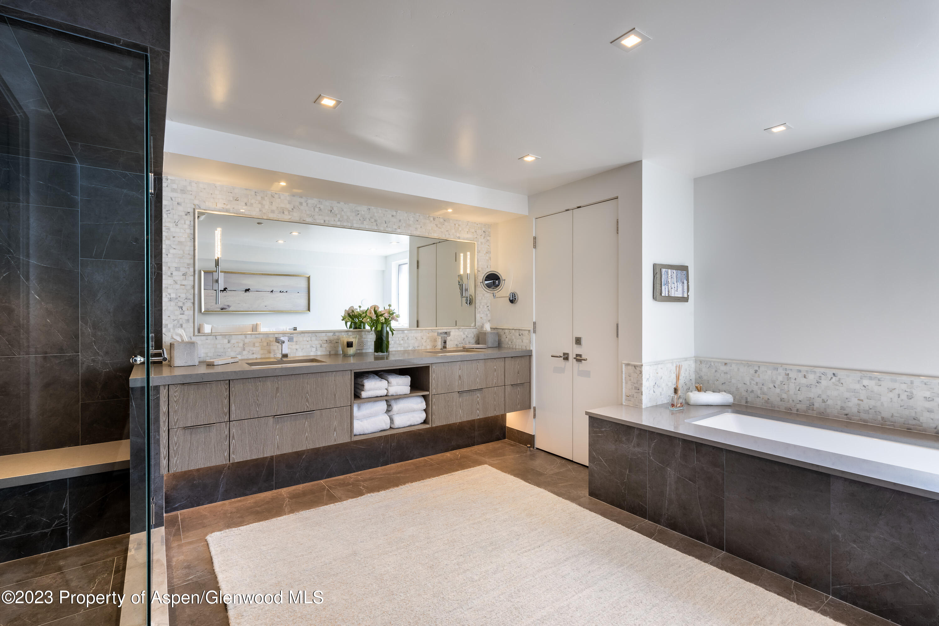 132 N Spring Street Aspen CO 81611