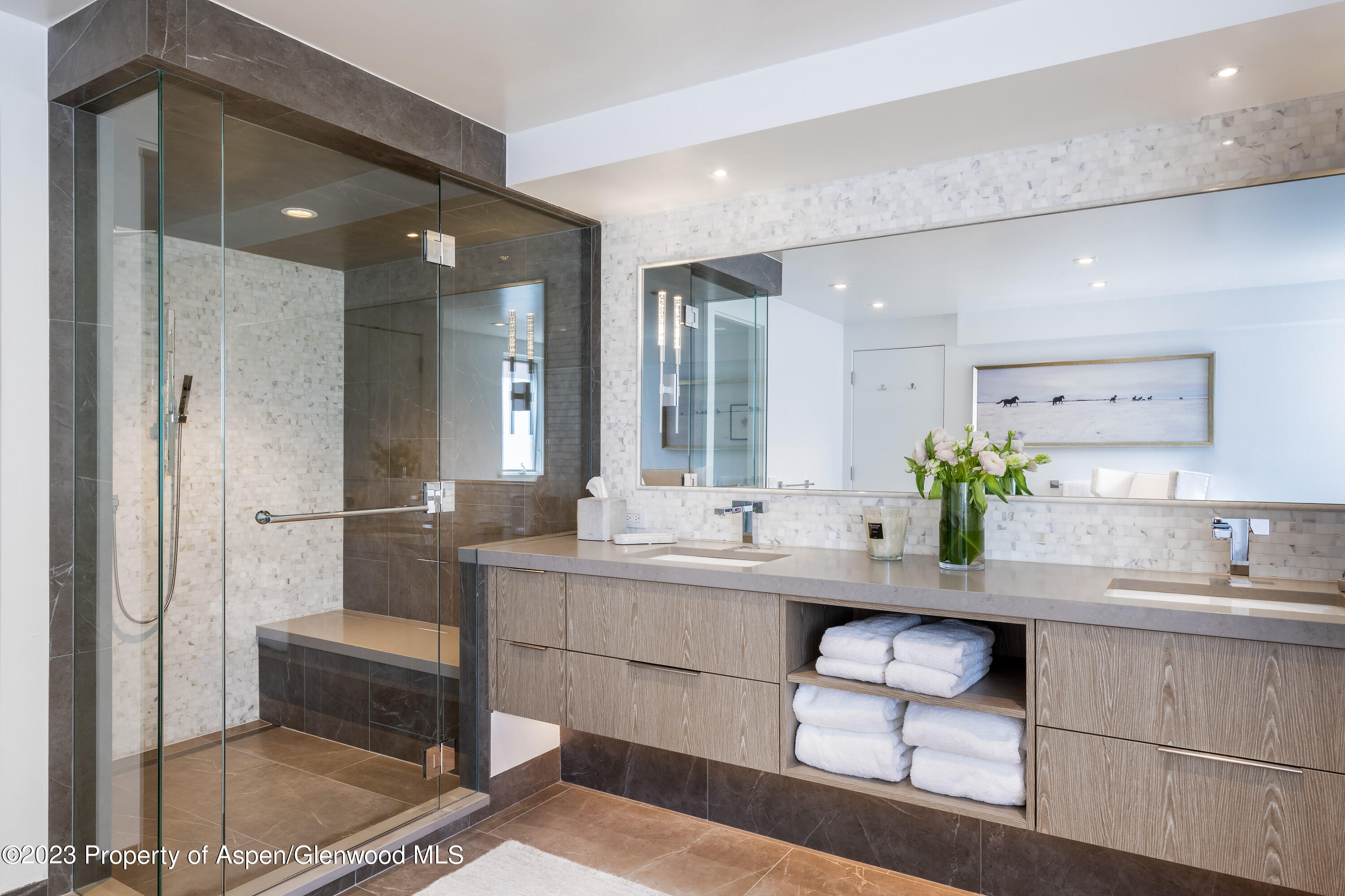 132 N Spring Street Aspen CO 81611