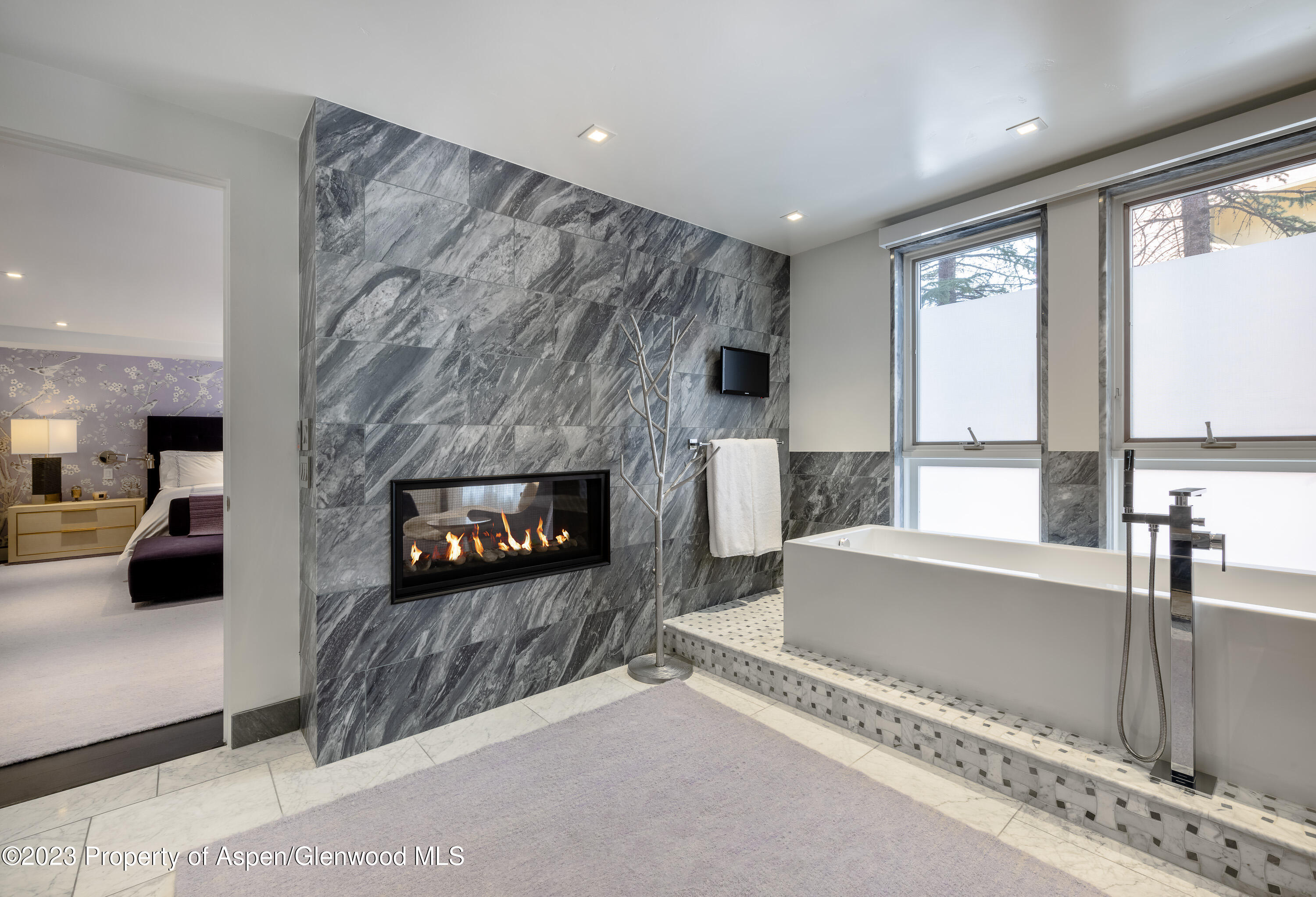 132 N Spring Street Aspen CO 81611