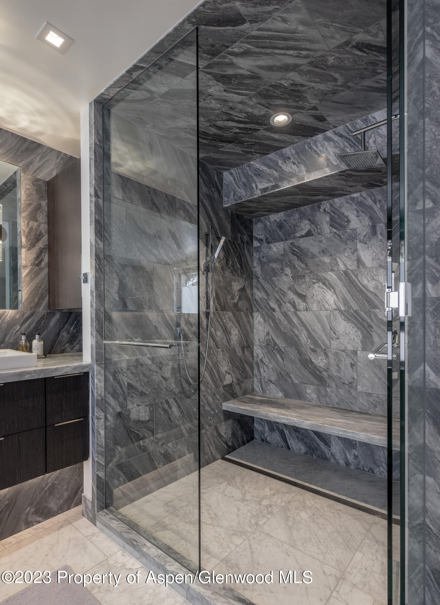 132 N Spring Street Aspen CO 81611