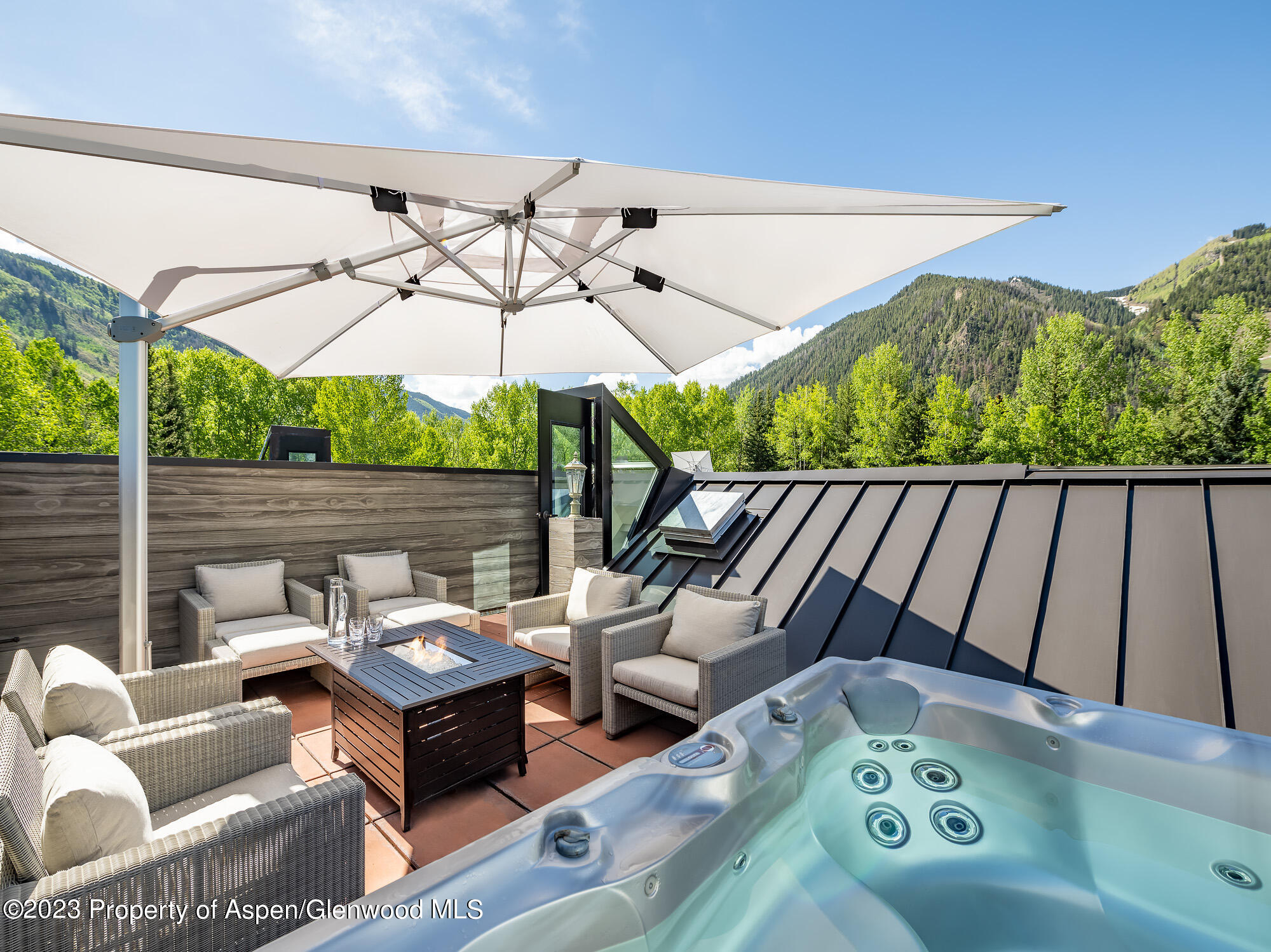 132 N Spring Street Aspen CO 81611