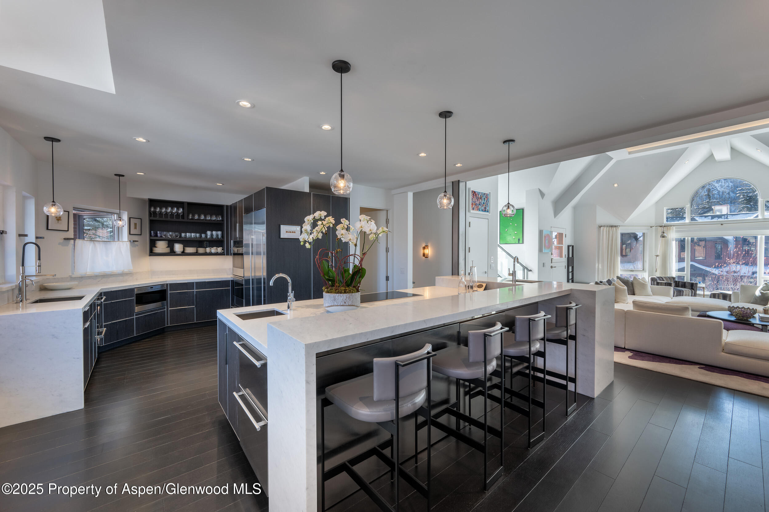 132 N Spring Street Aspen CO 81611