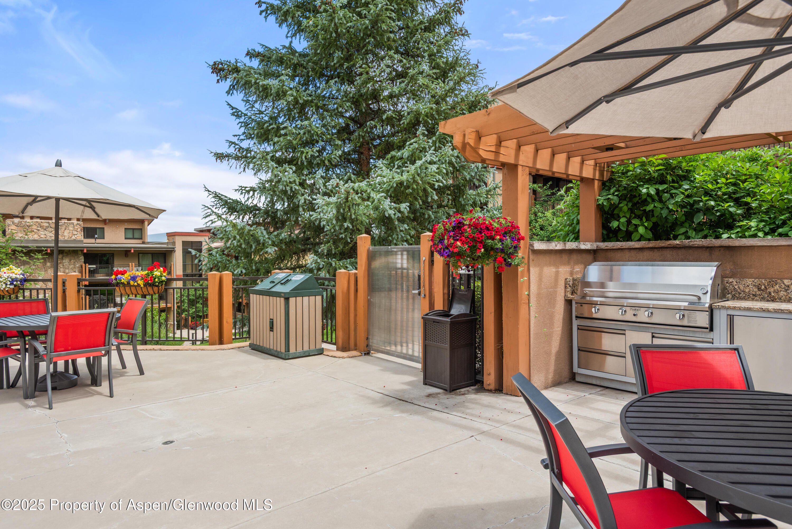 300 Carriage Way Snowmass Village CO 81615