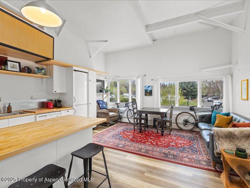 412 Mill Street Aspen CO 81611