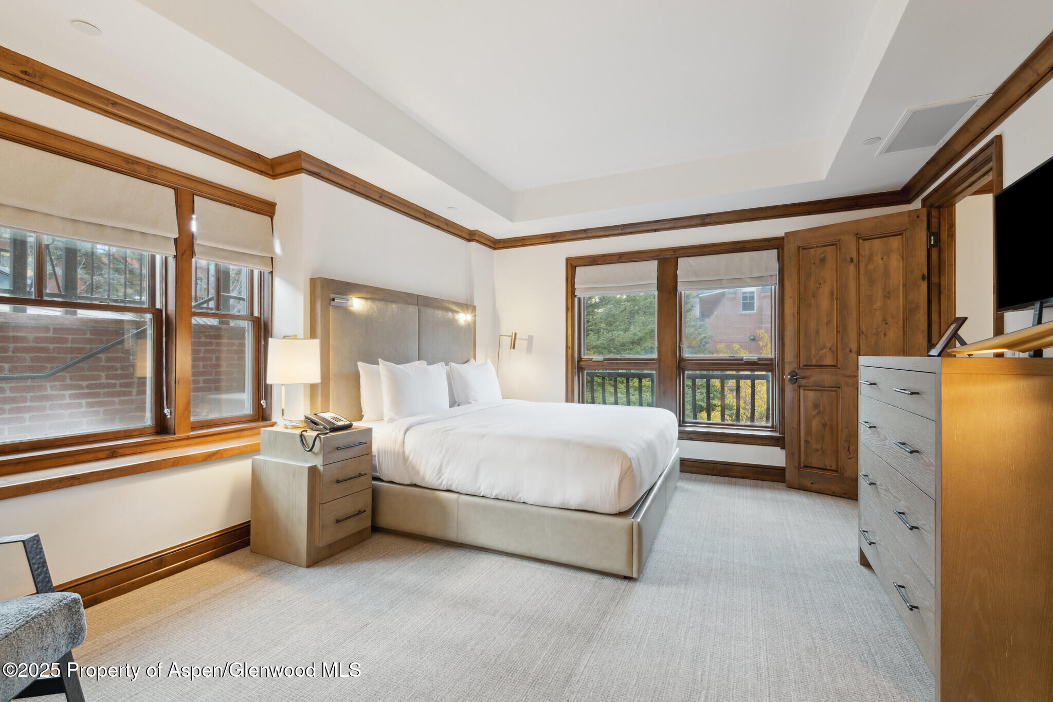 415 E Dean Street, #25, Week 6 Aspen CO 81611