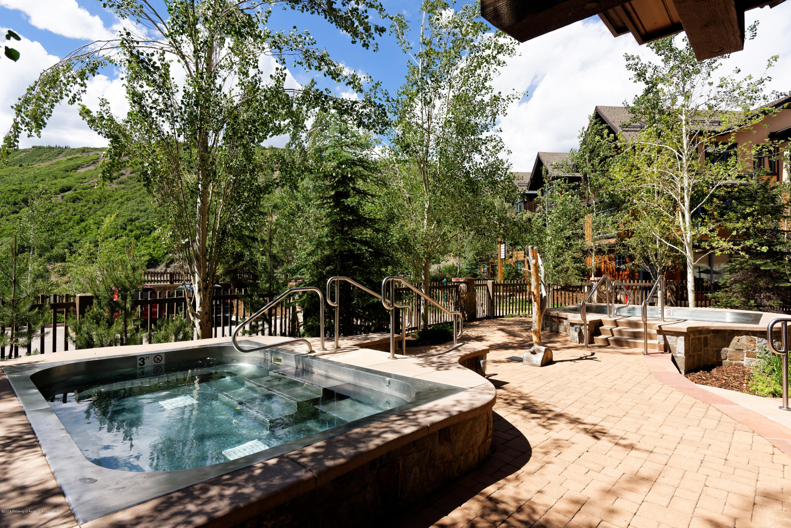 90 Carriage Way Snowmass Village CO 81615