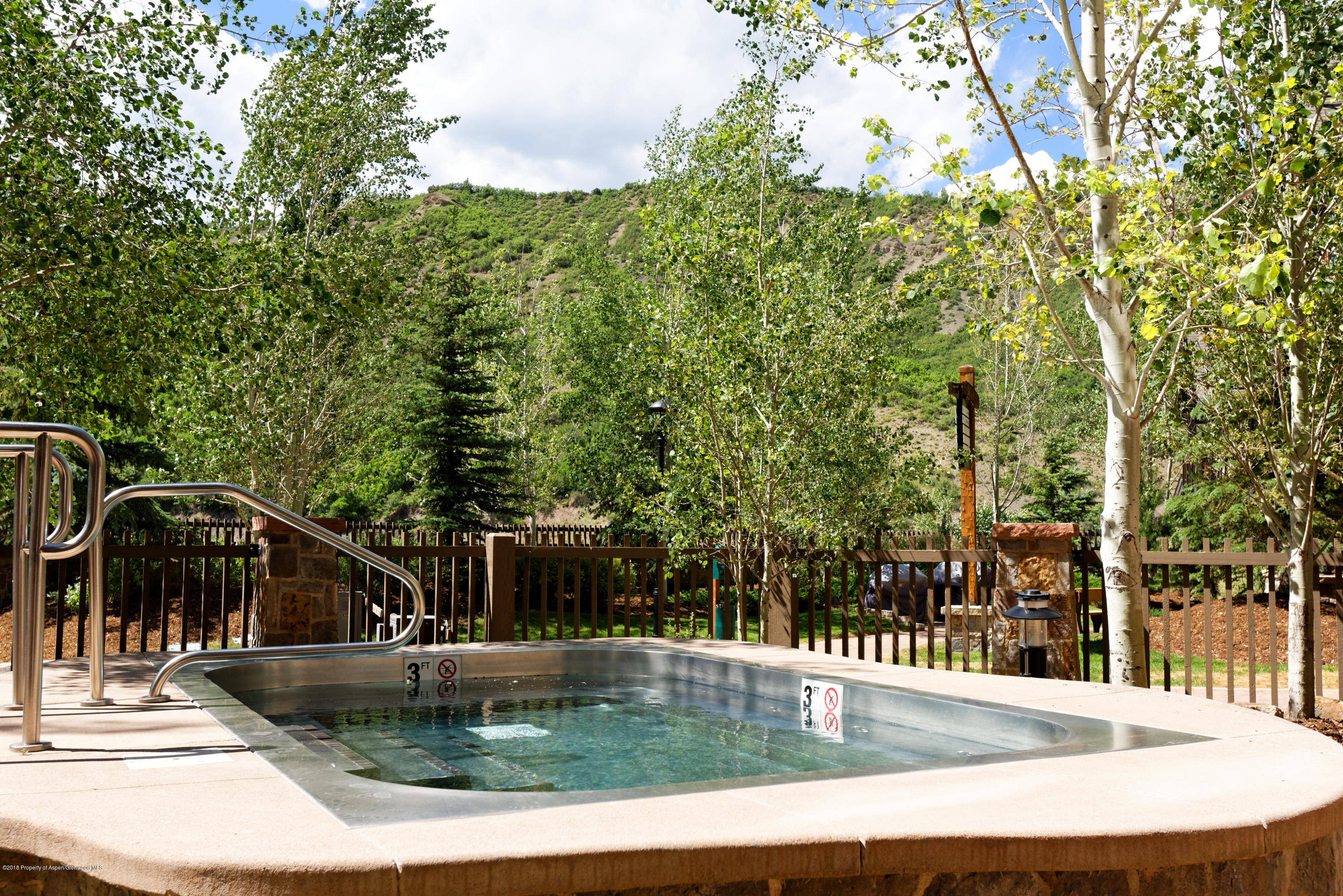 90 Carriage Way Snowmass Village CO 81615