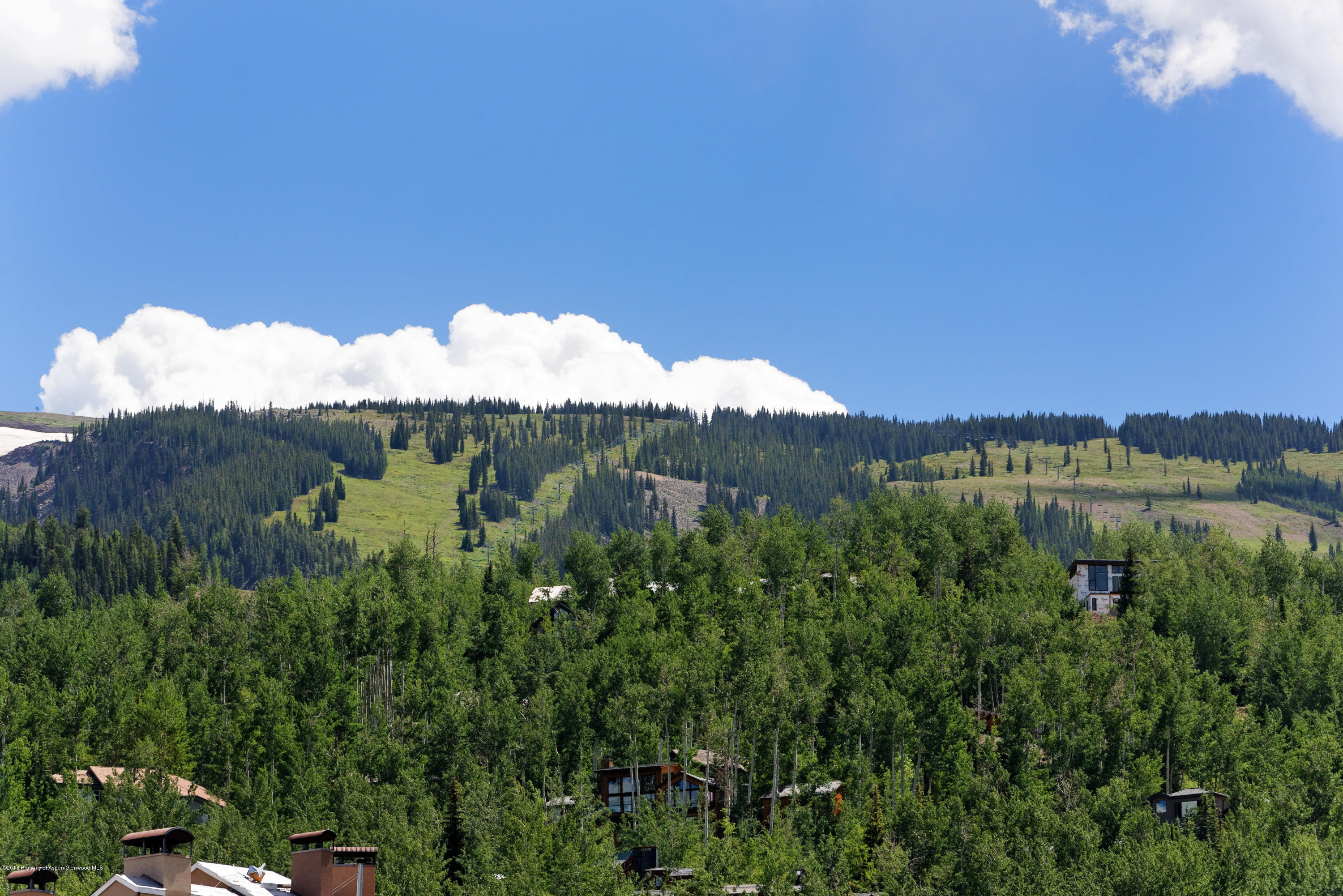 90 Carriage Way Snowmass Village CO 81615