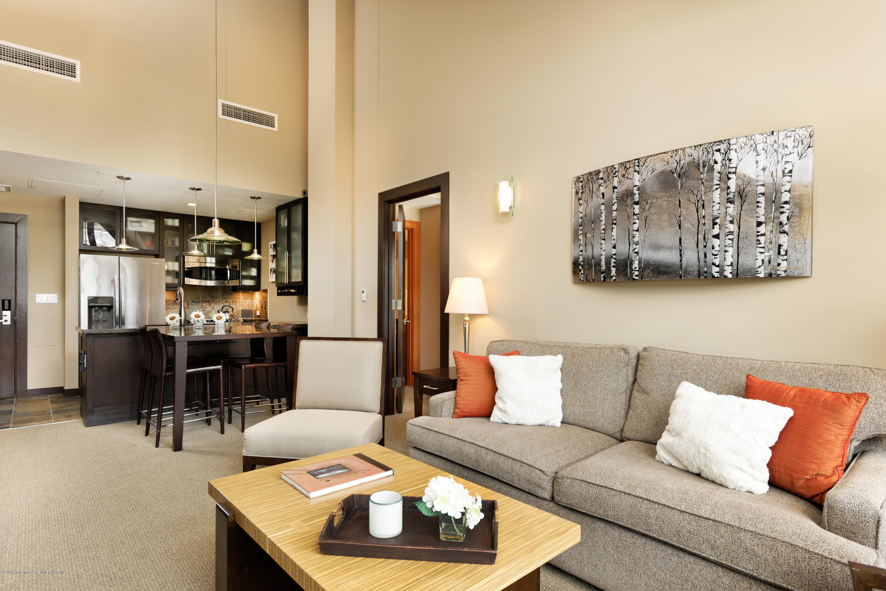 90 Carriage Way Snowmass Village CO 81615