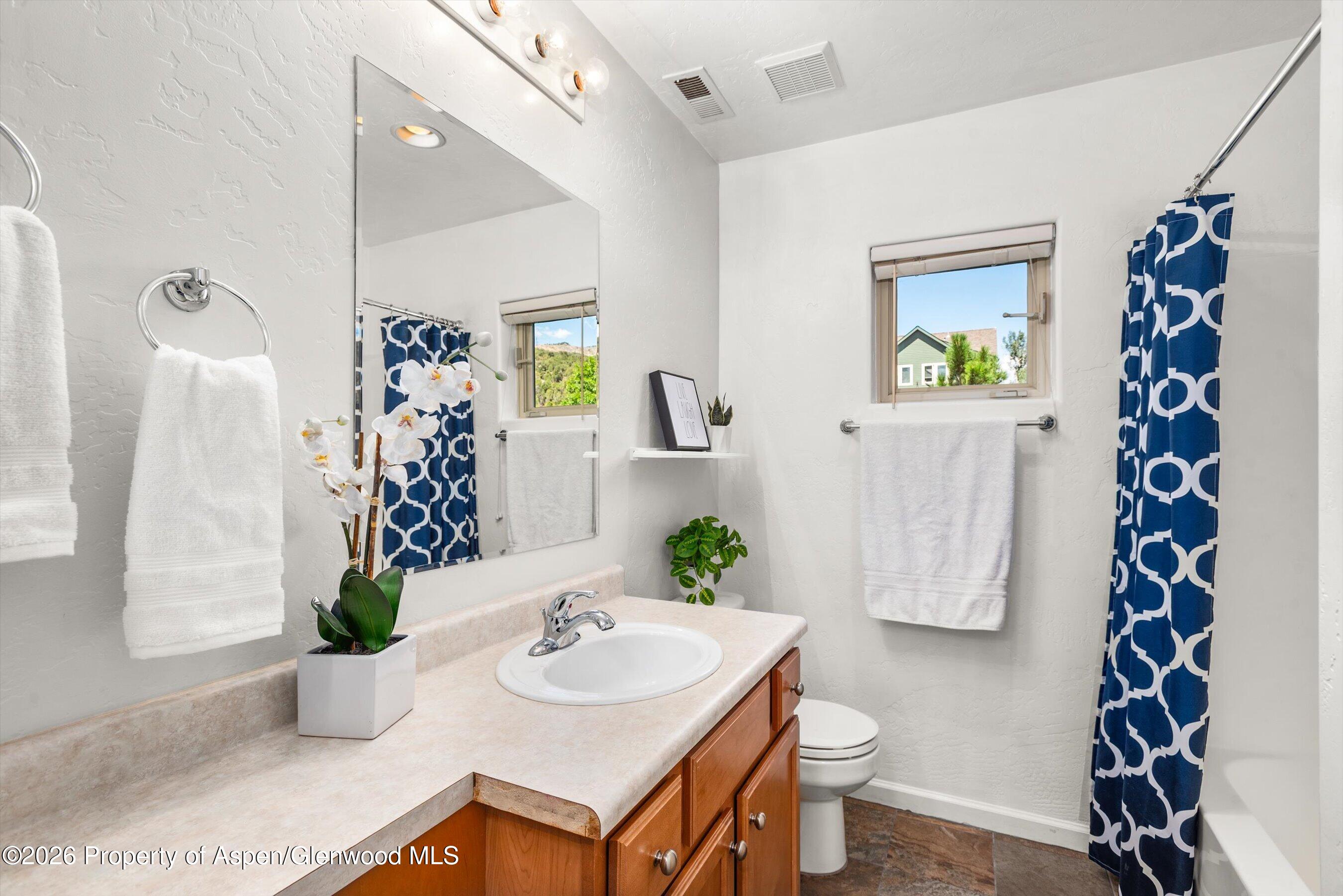 100 Lakeside Drive Basalt CO 81621