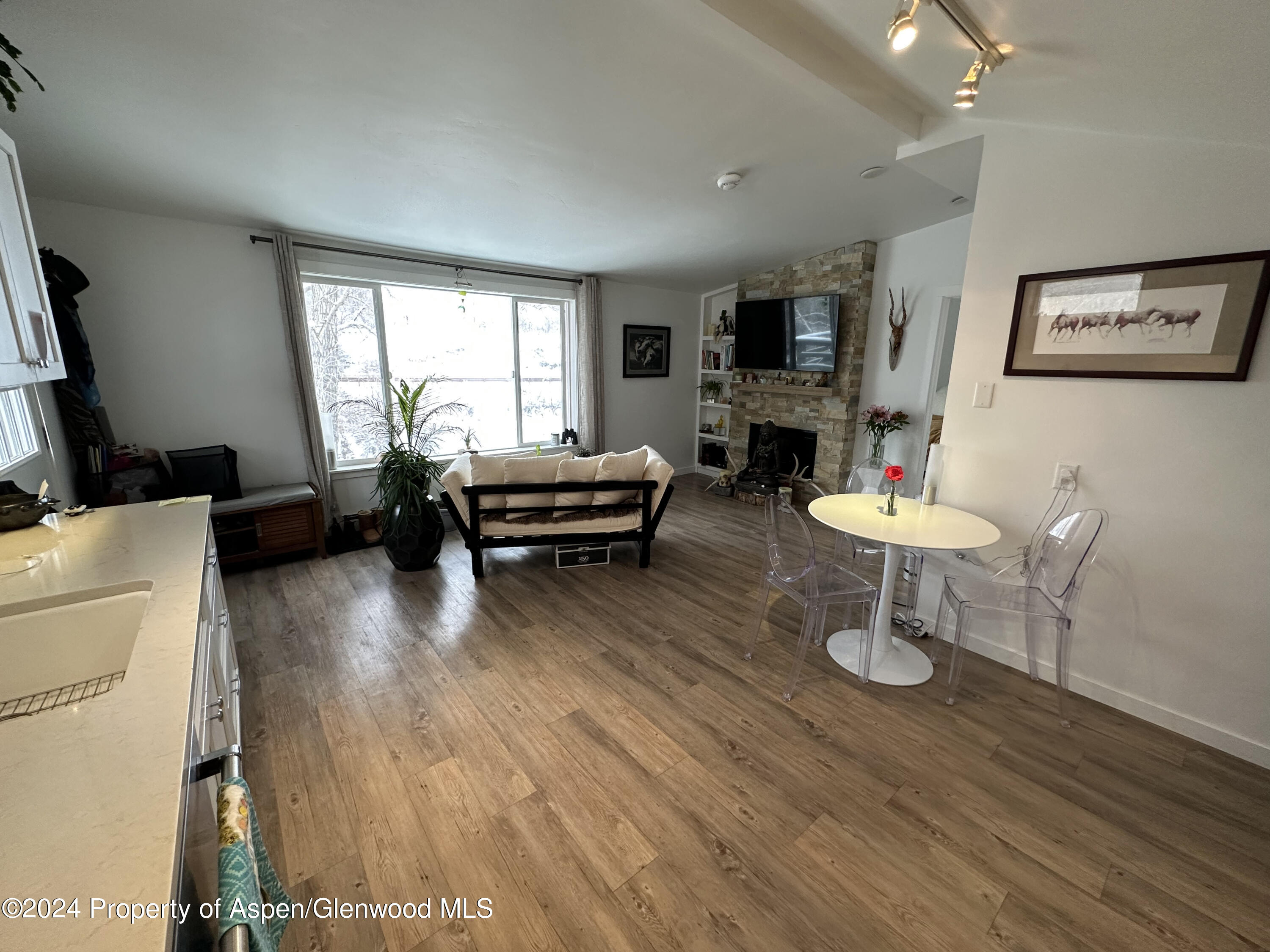 302 Waterview Drive Snowmass CO 81654