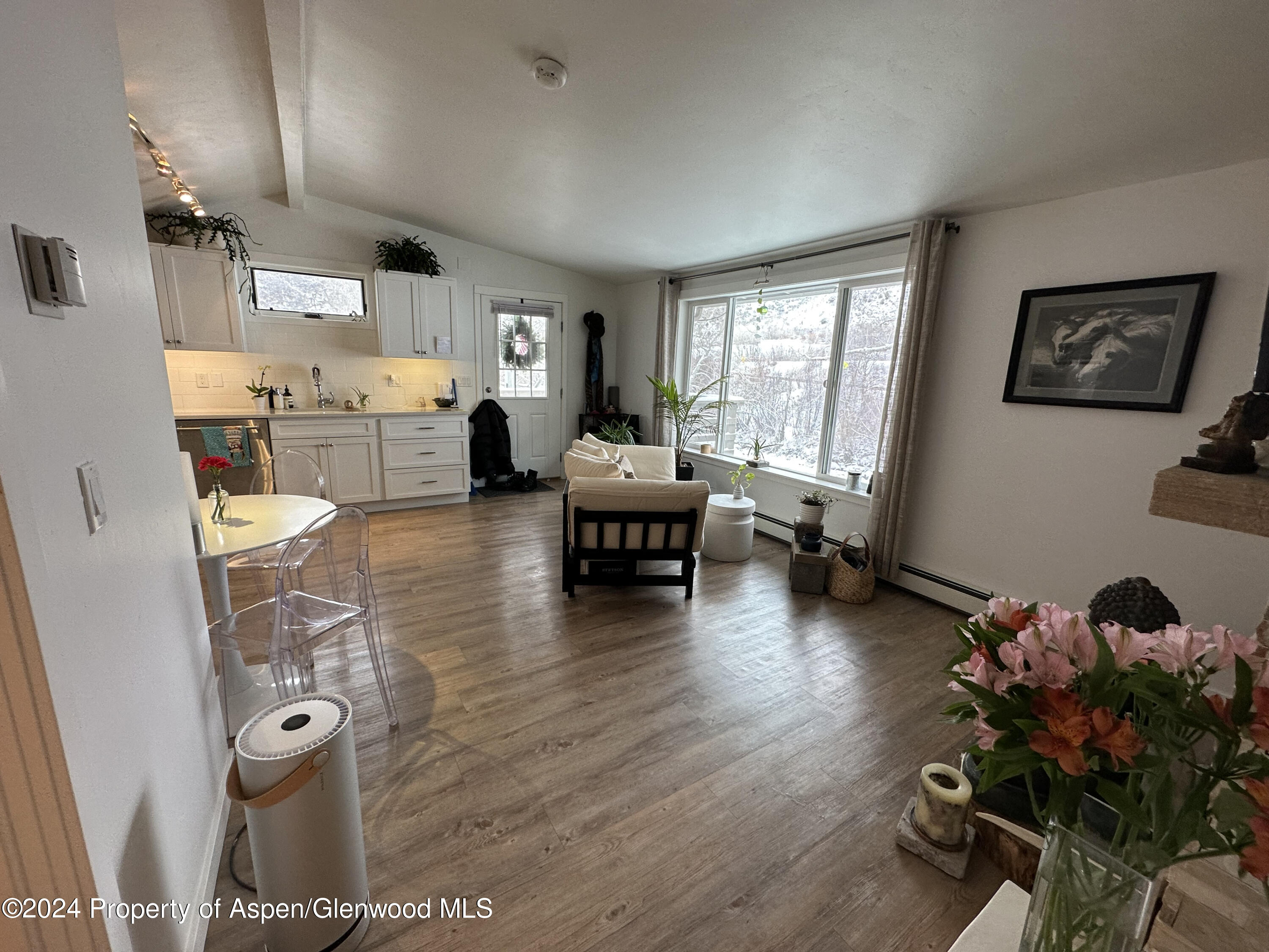 302 Waterview Drive Snowmass CO 81654