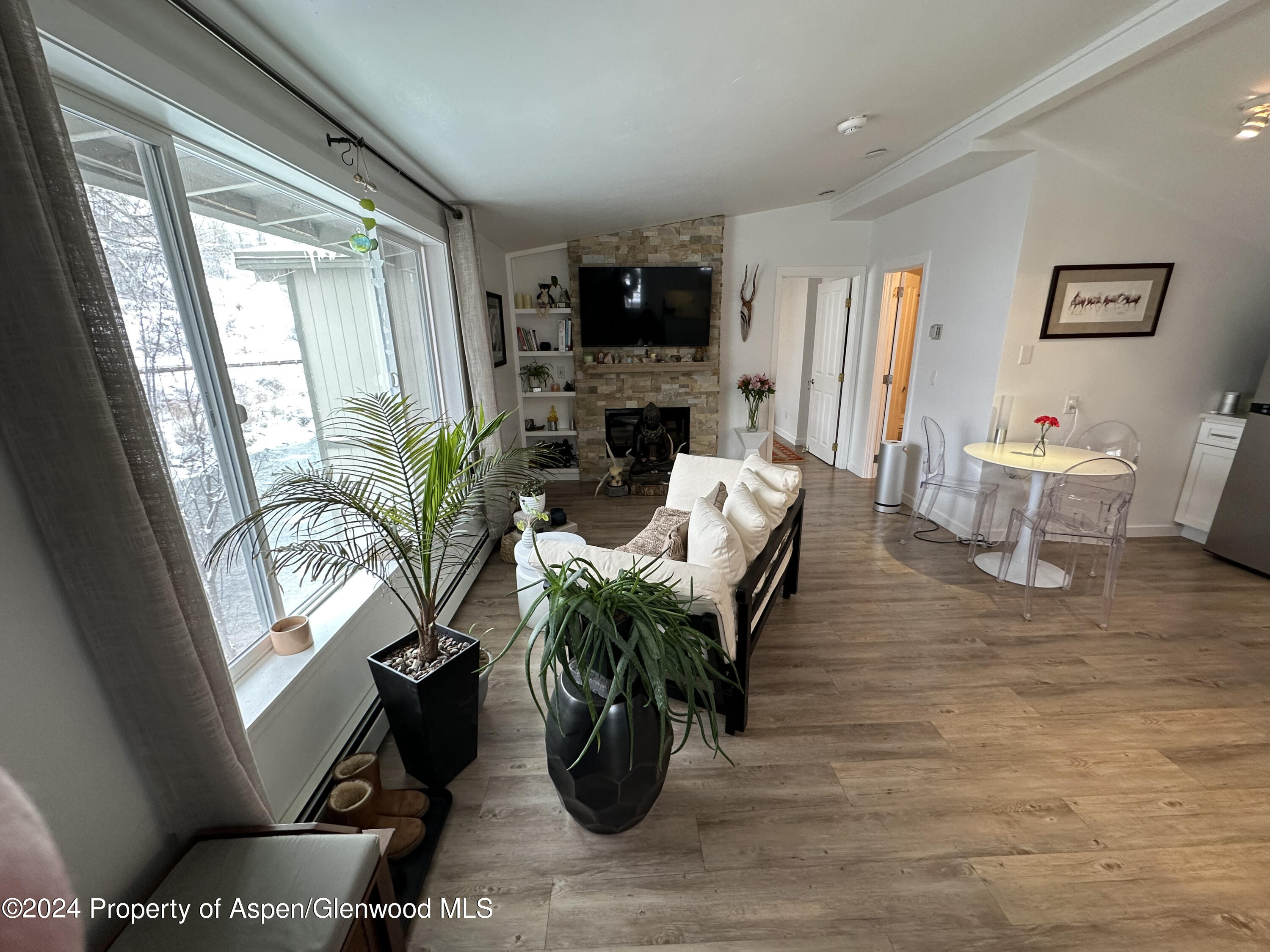 302 Waterview Drive Snowmass CO 81654