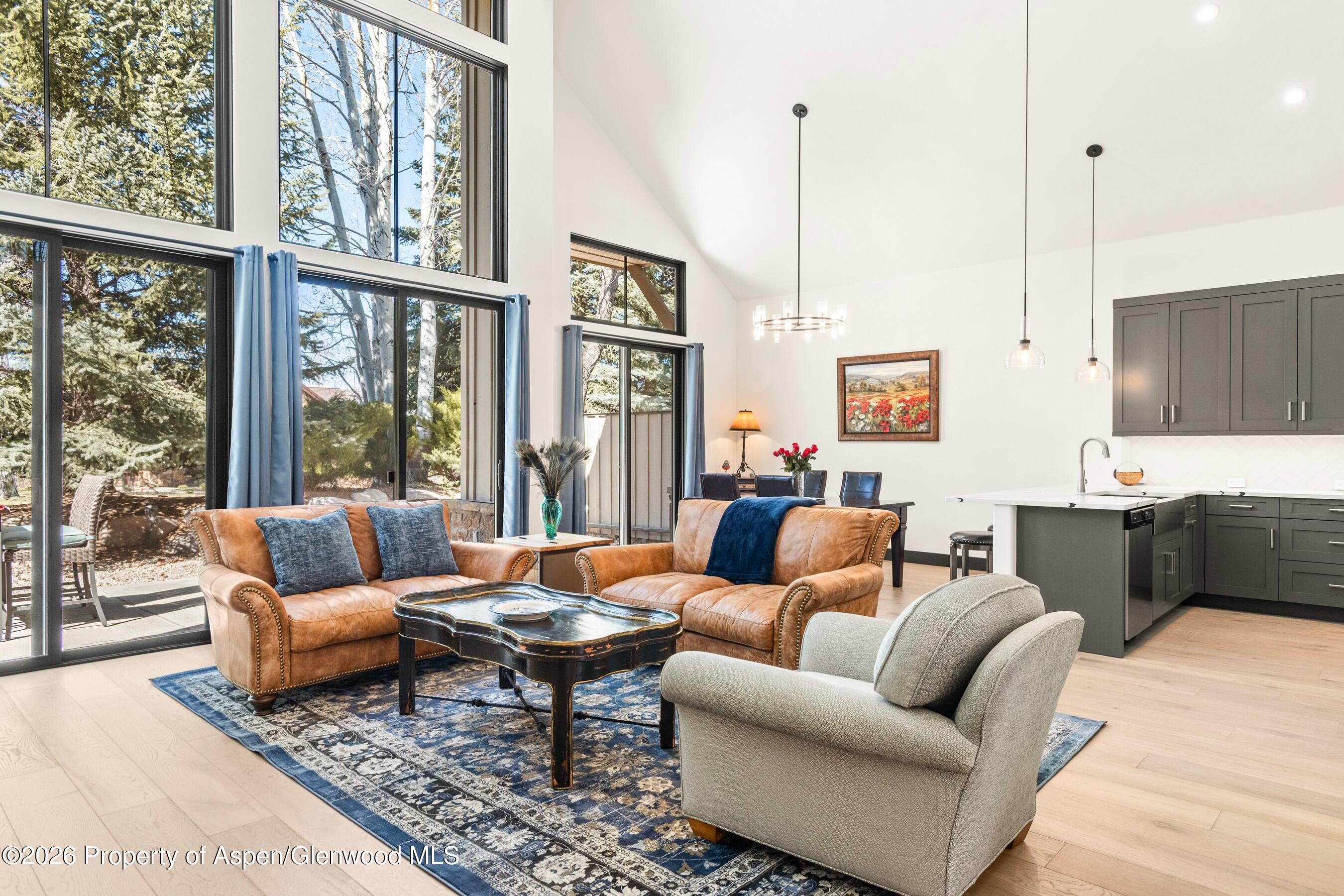 70 Golden Bear Drive Carbondale CO 81623