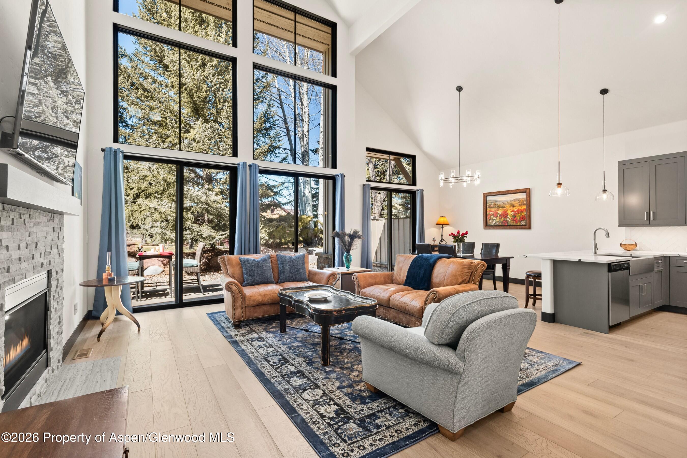 70 Golden Bear Drive Carbondale CO 81623