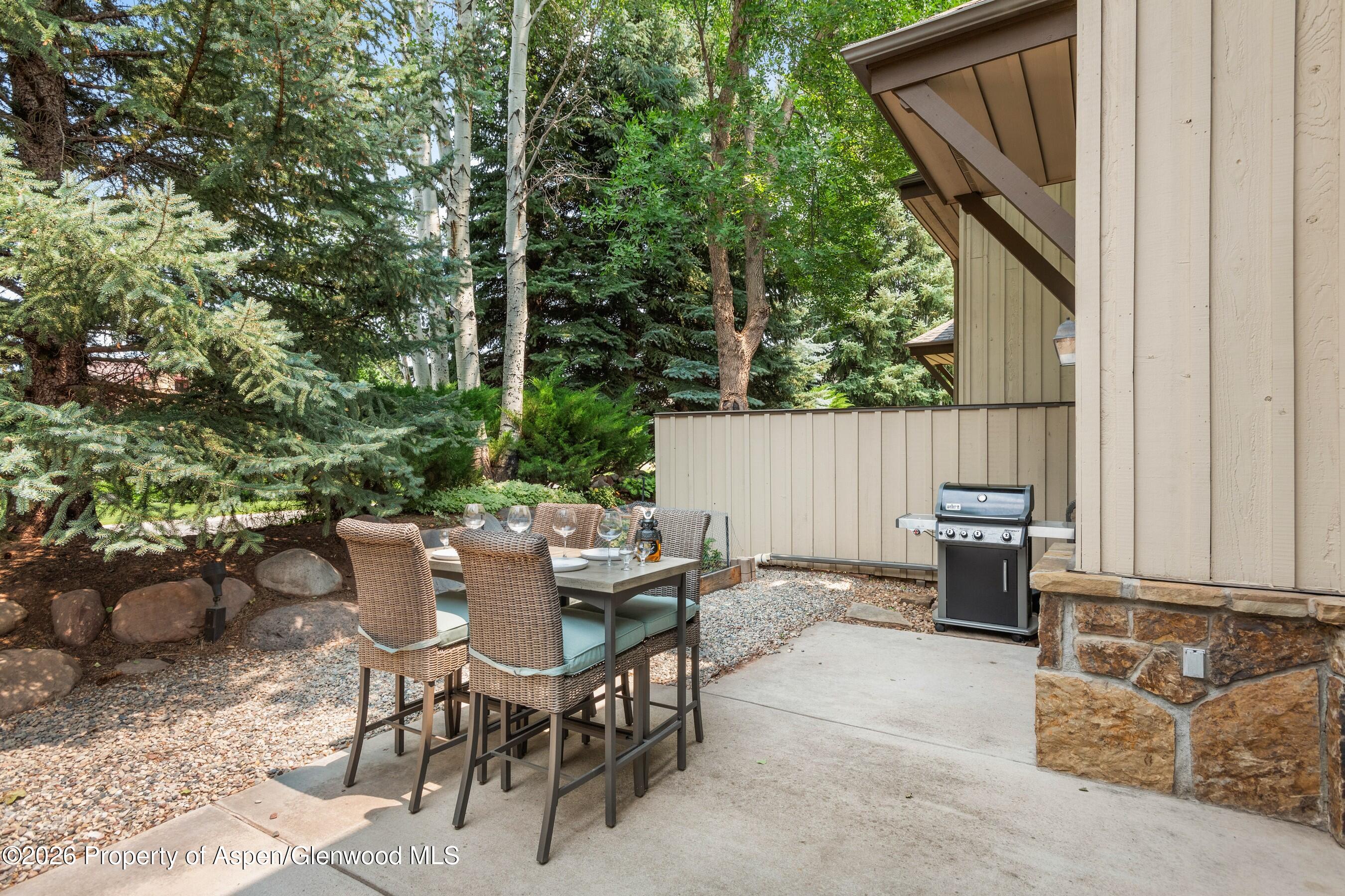 70 Golden Bear Drive Carbondale CO 81623