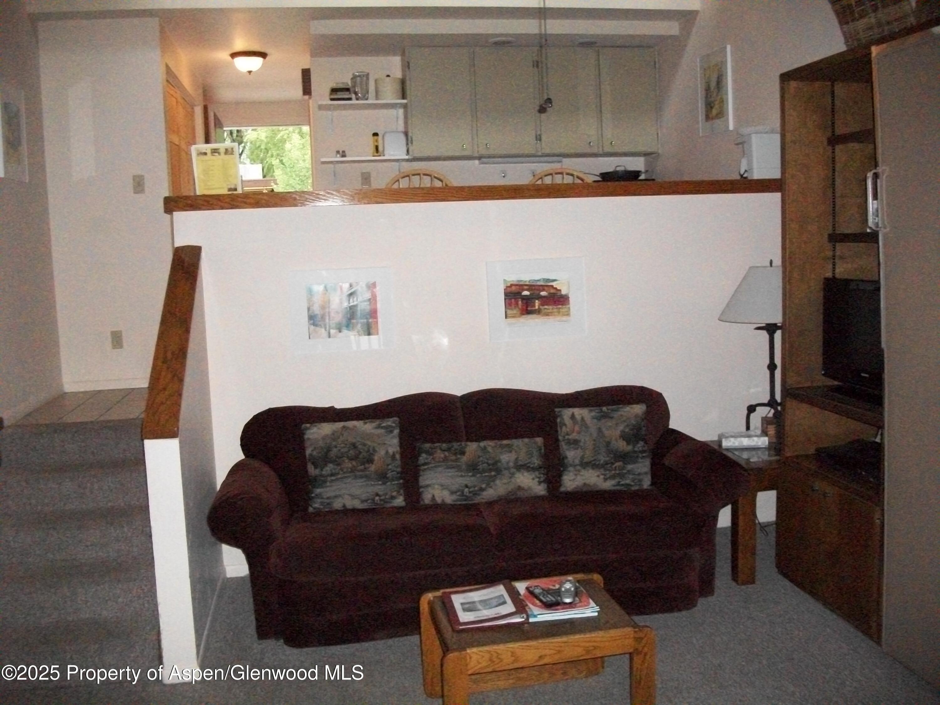 232 W Hyman Avenue Aspen CO 81611