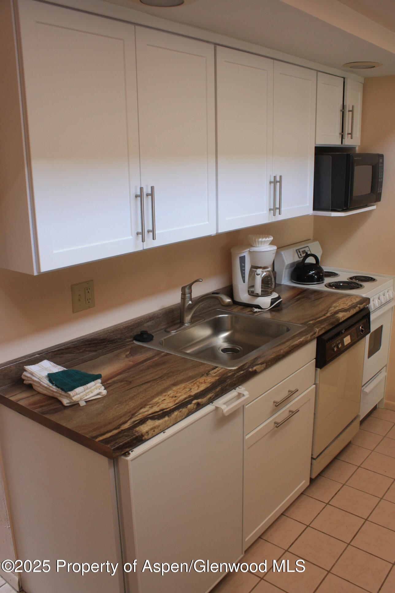 232 W Hyman Avenue Aspen CO 81611