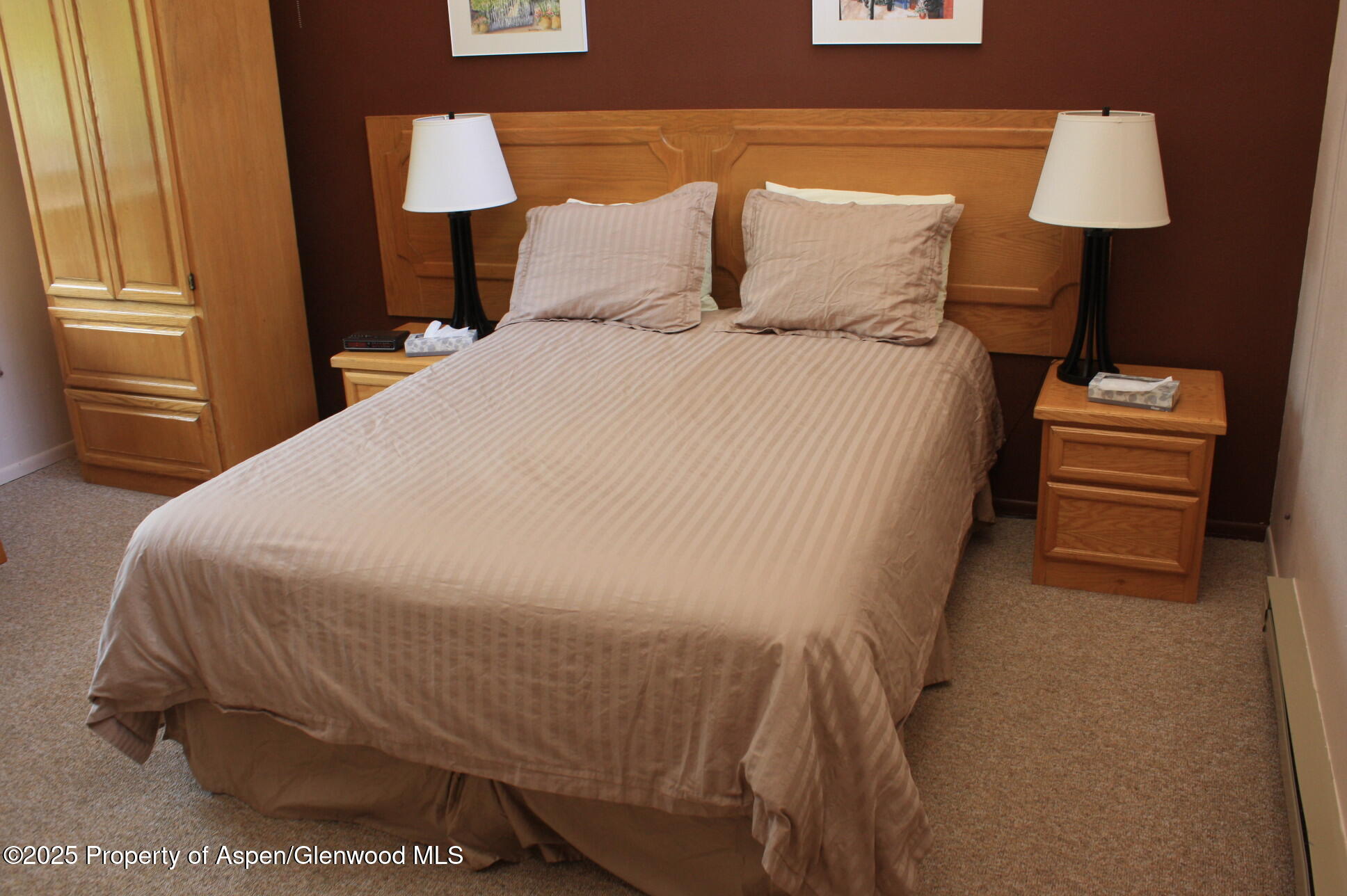 232 W Hyman Avenue Aspen CO 81611