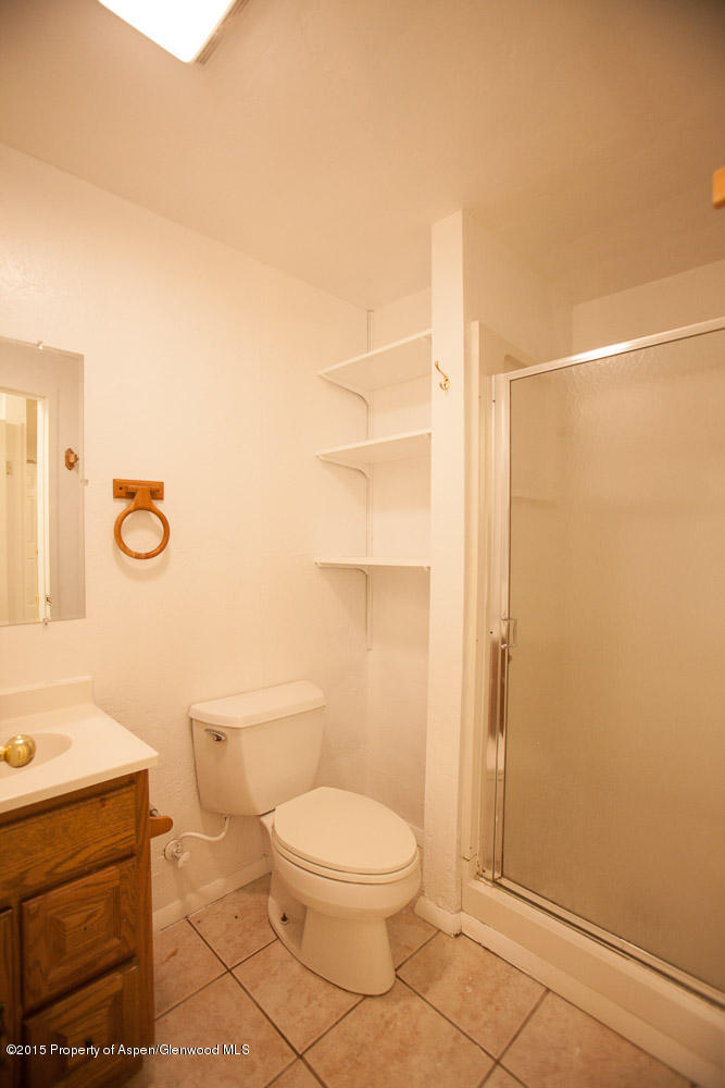 360 S 8th Street Carbondale CO 81623