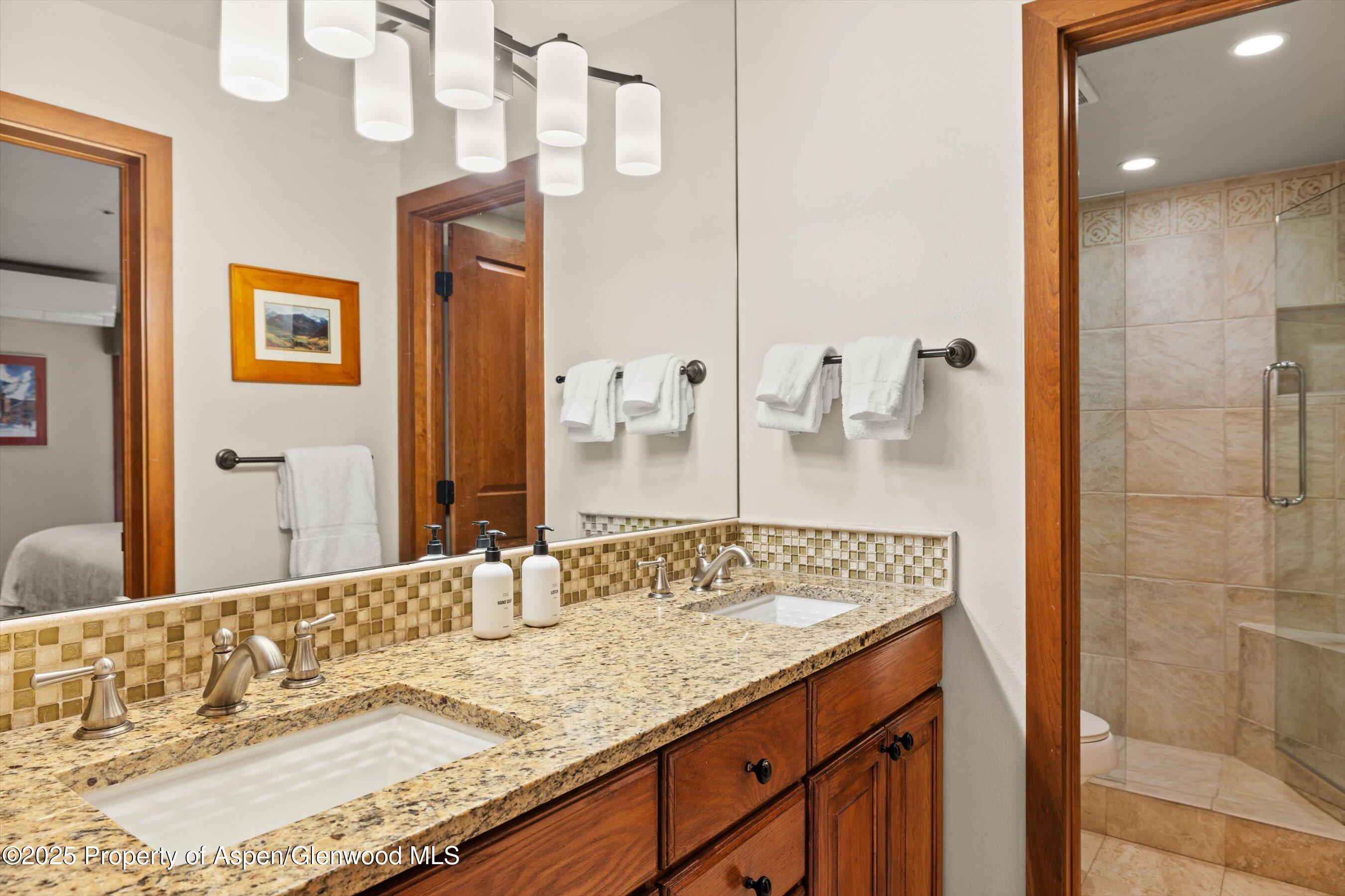 610 S West End Street Aspen CO 81611