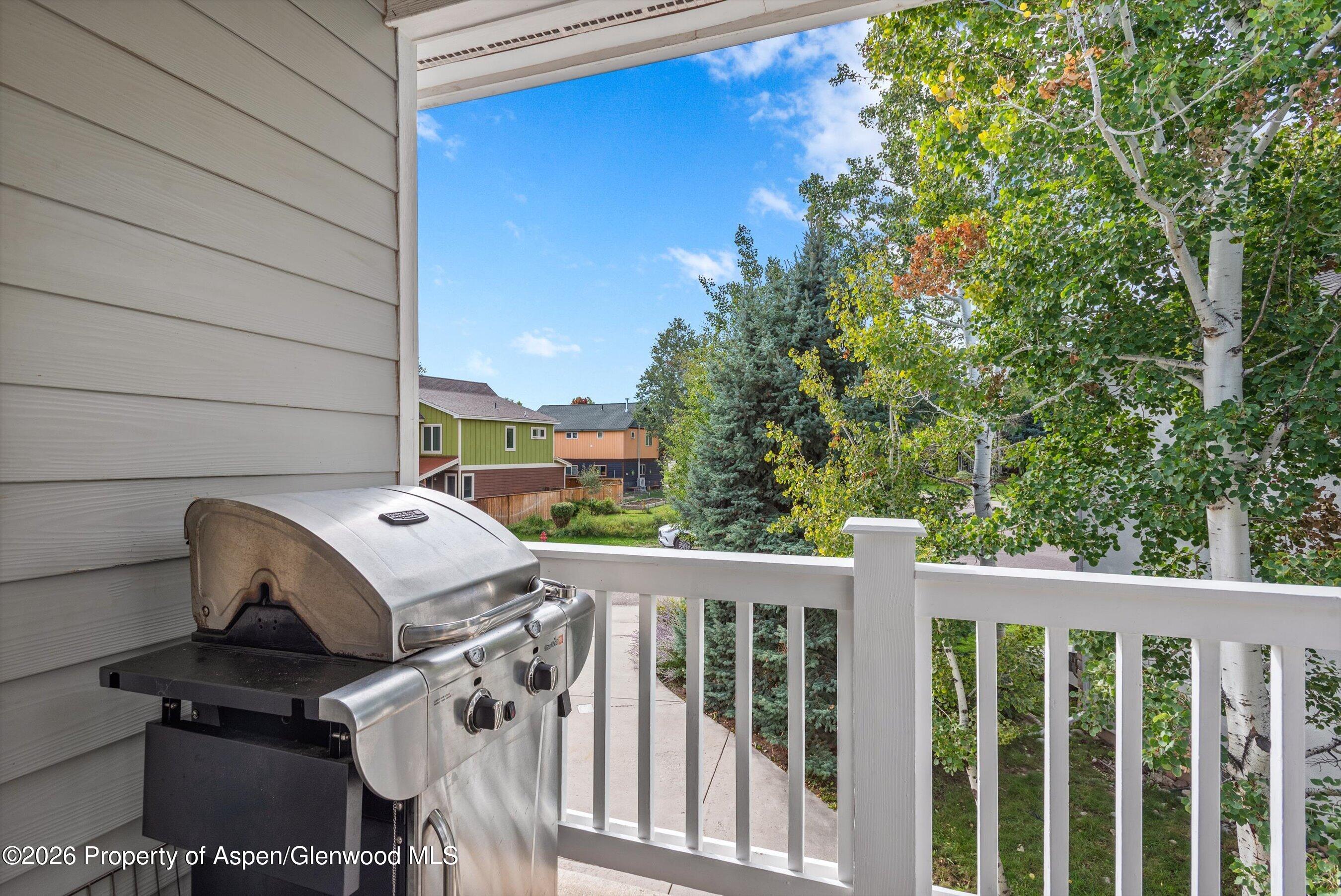 2728 Graceland Drive Carbondale CO 81623