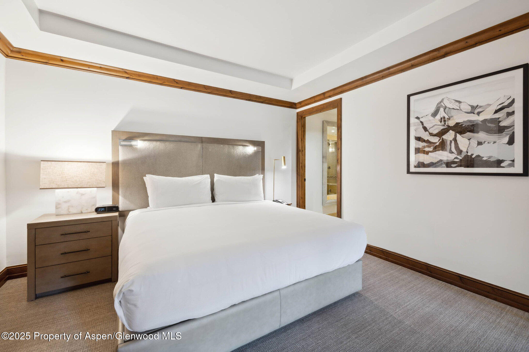 415 E Dean Street, Unit 38, Week 33 Aspen CO 81611